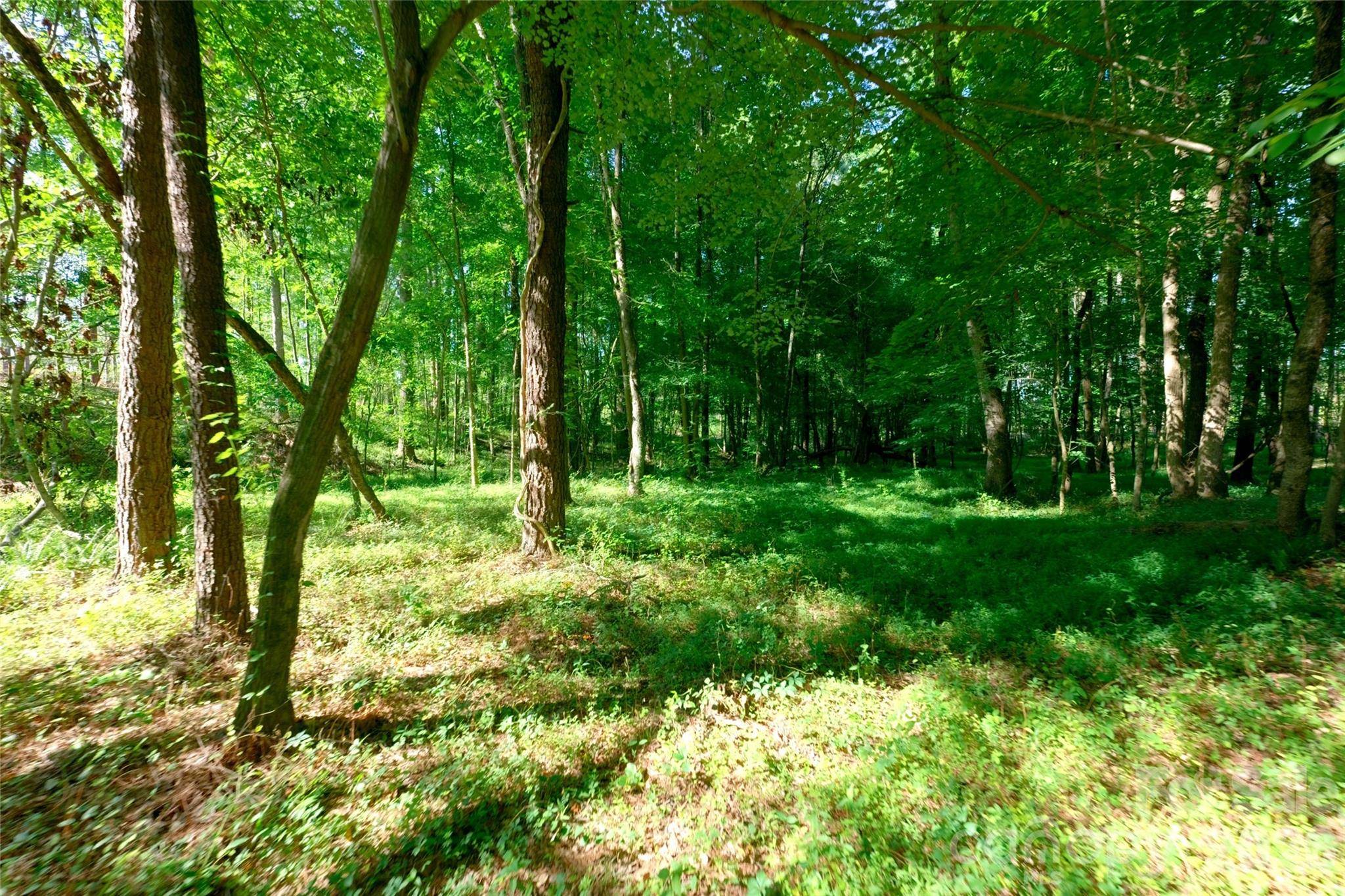 0 Carson RD #5, Cleveland, NC 27013