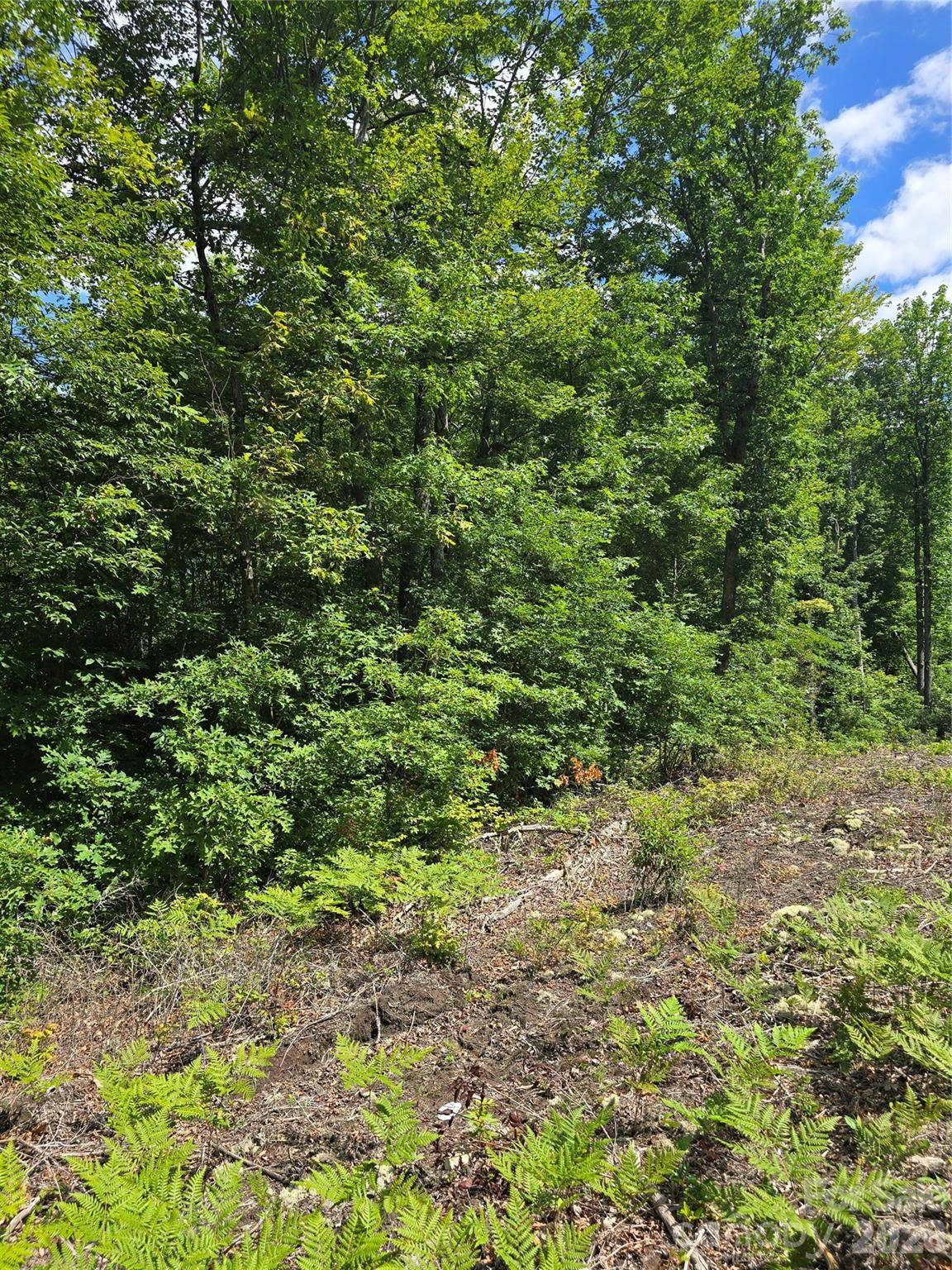 0000 Nancy Mountain RD, Rosman, NC 28772