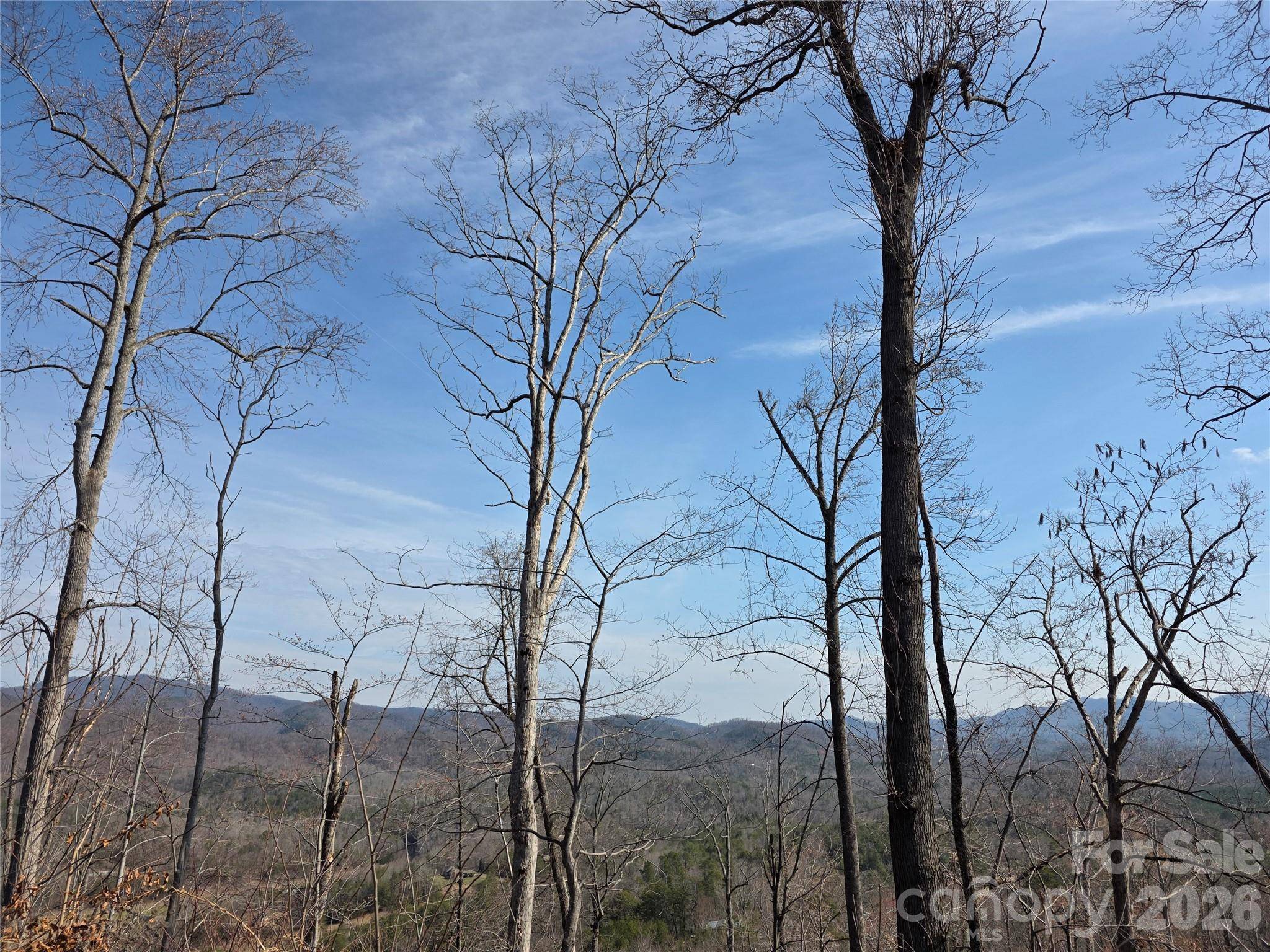Lot 45 Ridgecrest DR, Lake Lure, NC 28746