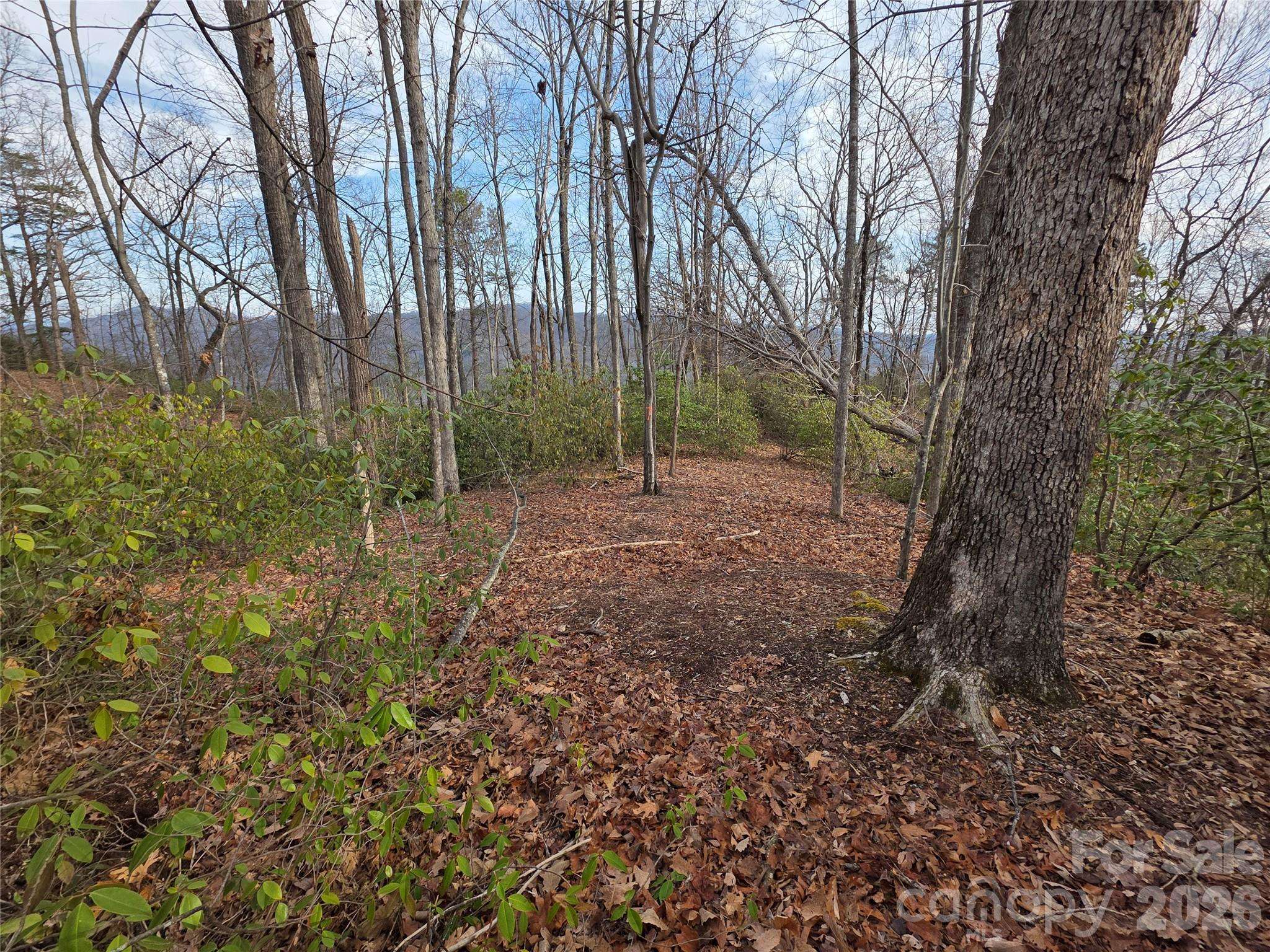 Lot 45 Ridgecrest DR, Lake Lure, NC 28746