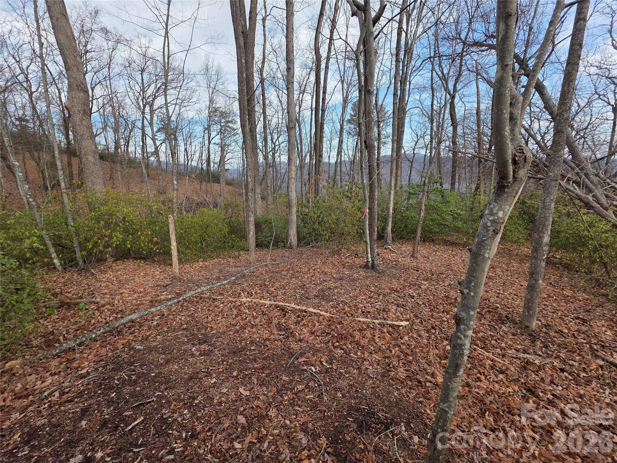 Lot 45 Ridgecrest DR, Lake Lure, NC 28746