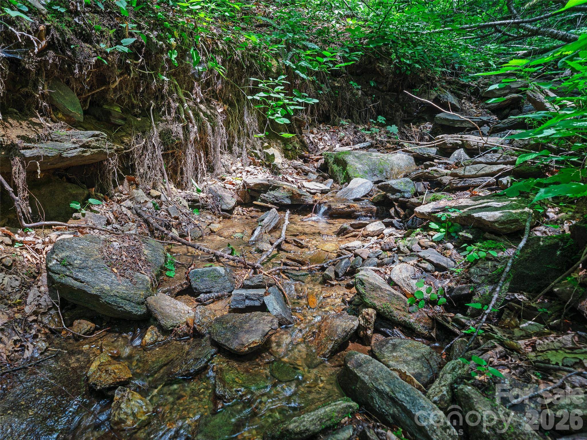 0000 Deep Gap RD, Burnsville, NC 28714