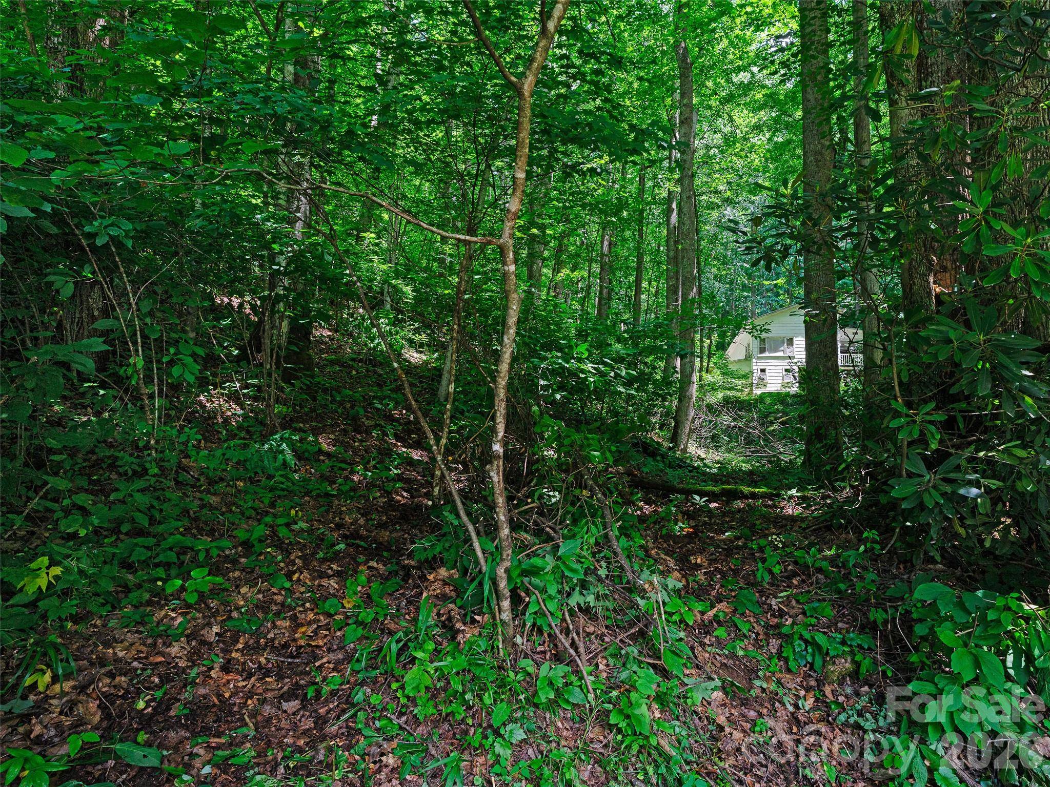 0000 Deep Gap RD, Burnsville, NC 28714