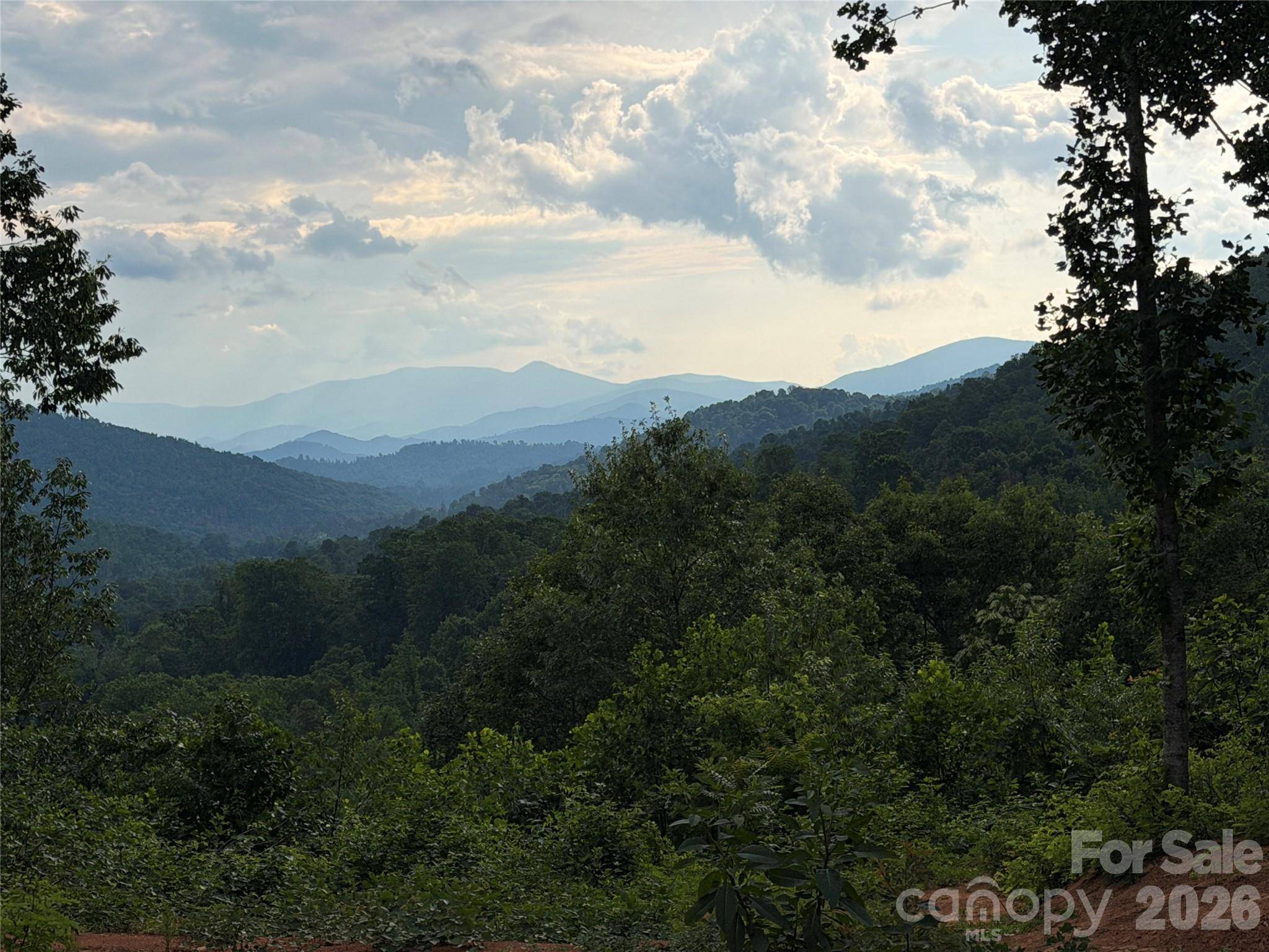 99999 Tipton LN, Bakersville, NC 28705