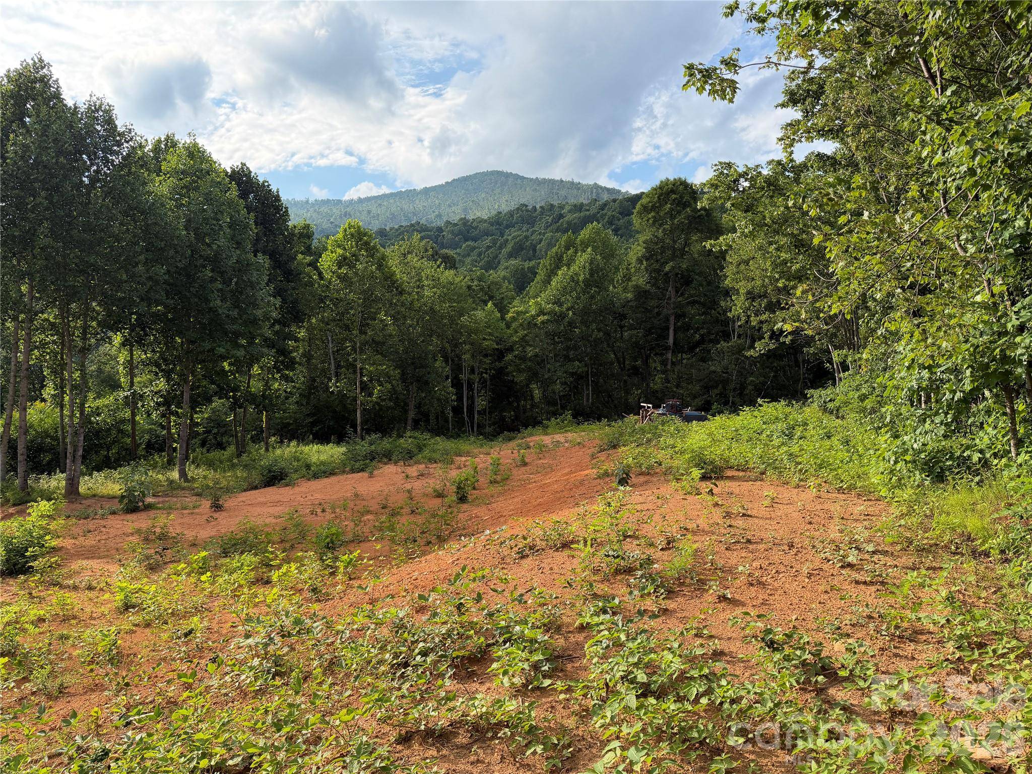 99999 Tipton LN, Bakersville, NC 28705