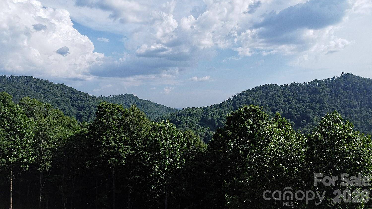 99999 Tipton LN, Bakersville, NC 28705