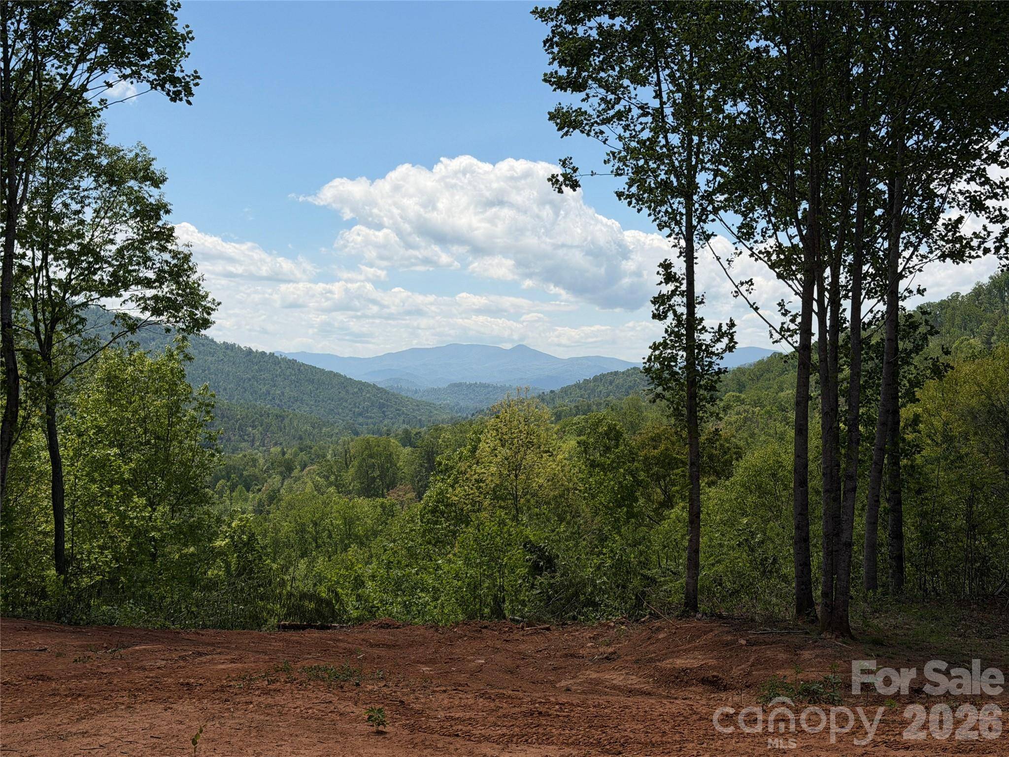 99999 Tipton LN, Bakersville, NC 28705