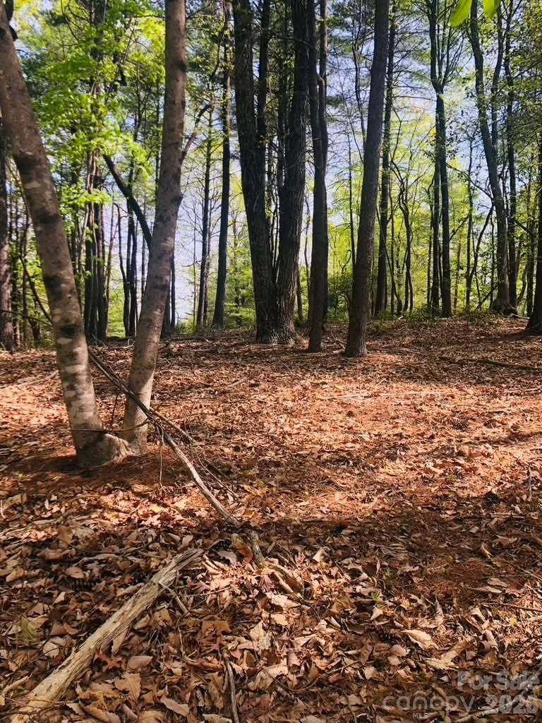 Lot 7 Gold Run DR #78, Ferguson, NC 28624