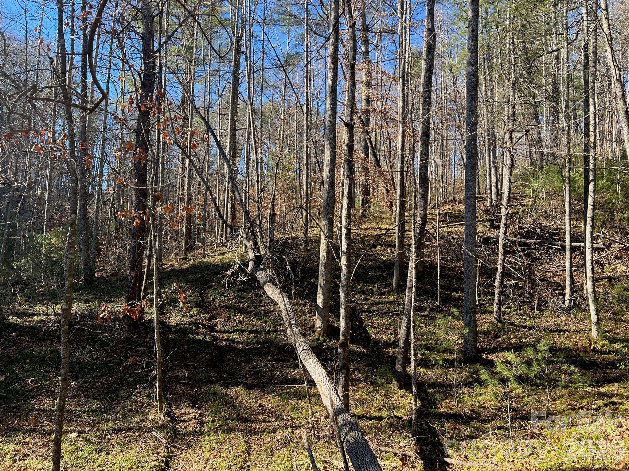 147 Falling Leaves LN, Hendersonville, NC 28792