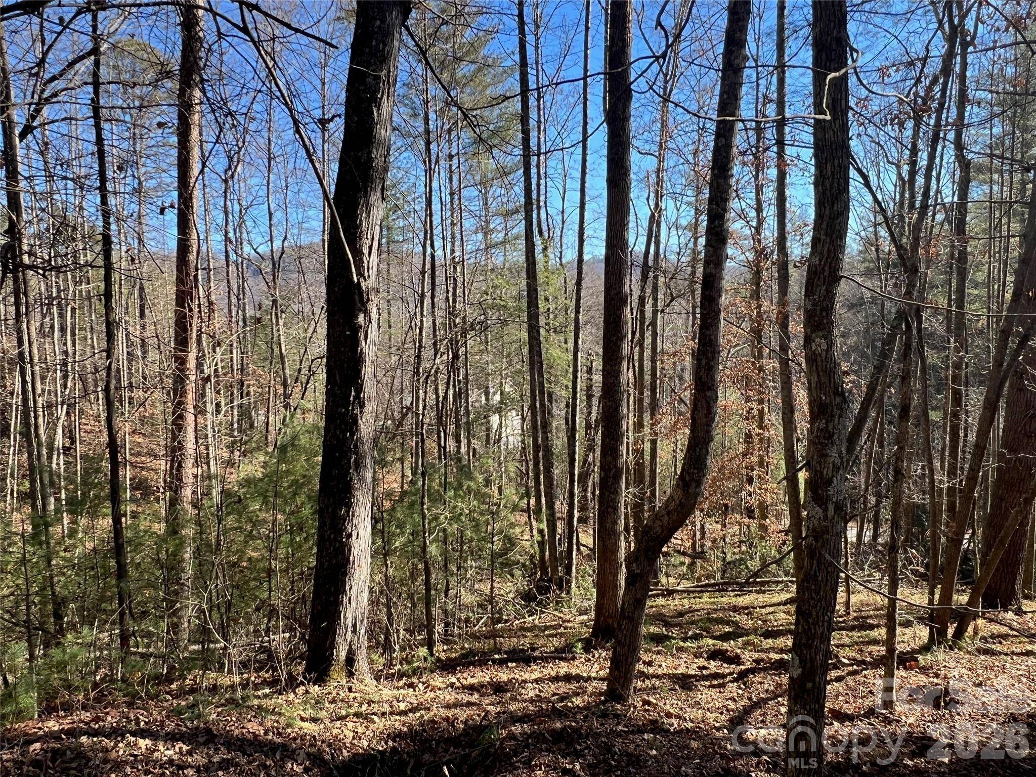 147 Falling Leaves LN, Hendersonville, NC 28792