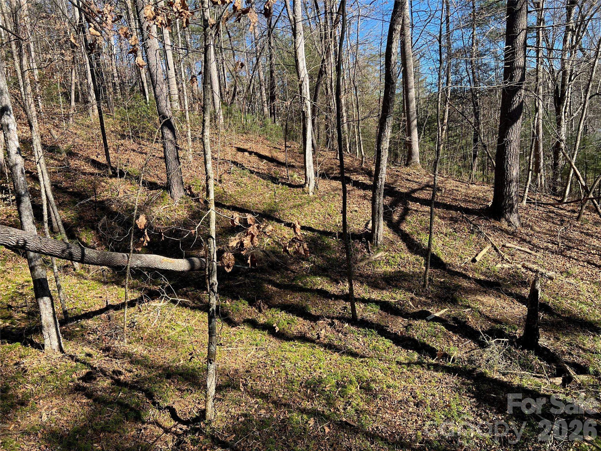 181 Falling Leaves LN, Hendersonville, NC 28792