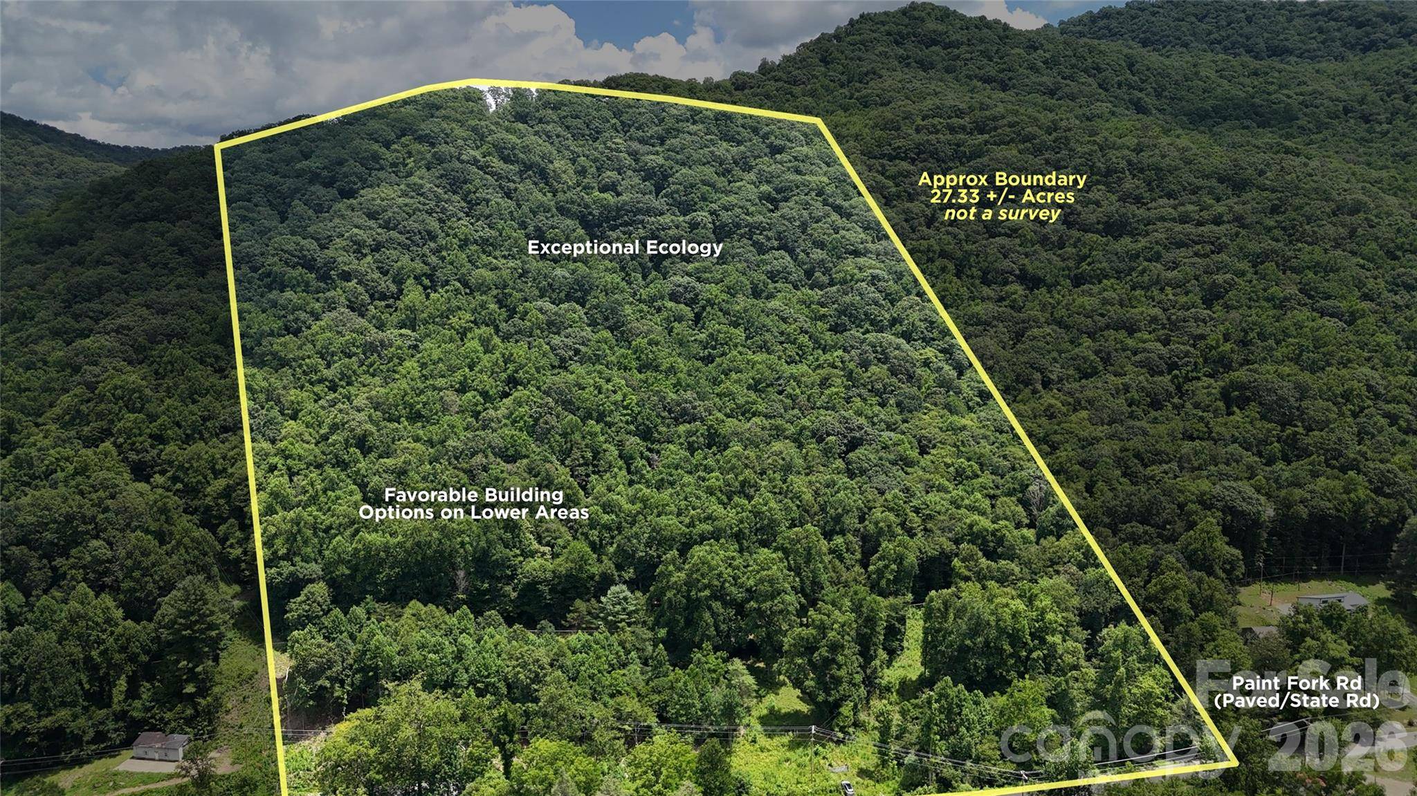 TBD Paint Fork RD, Barnardsville, NC 28709