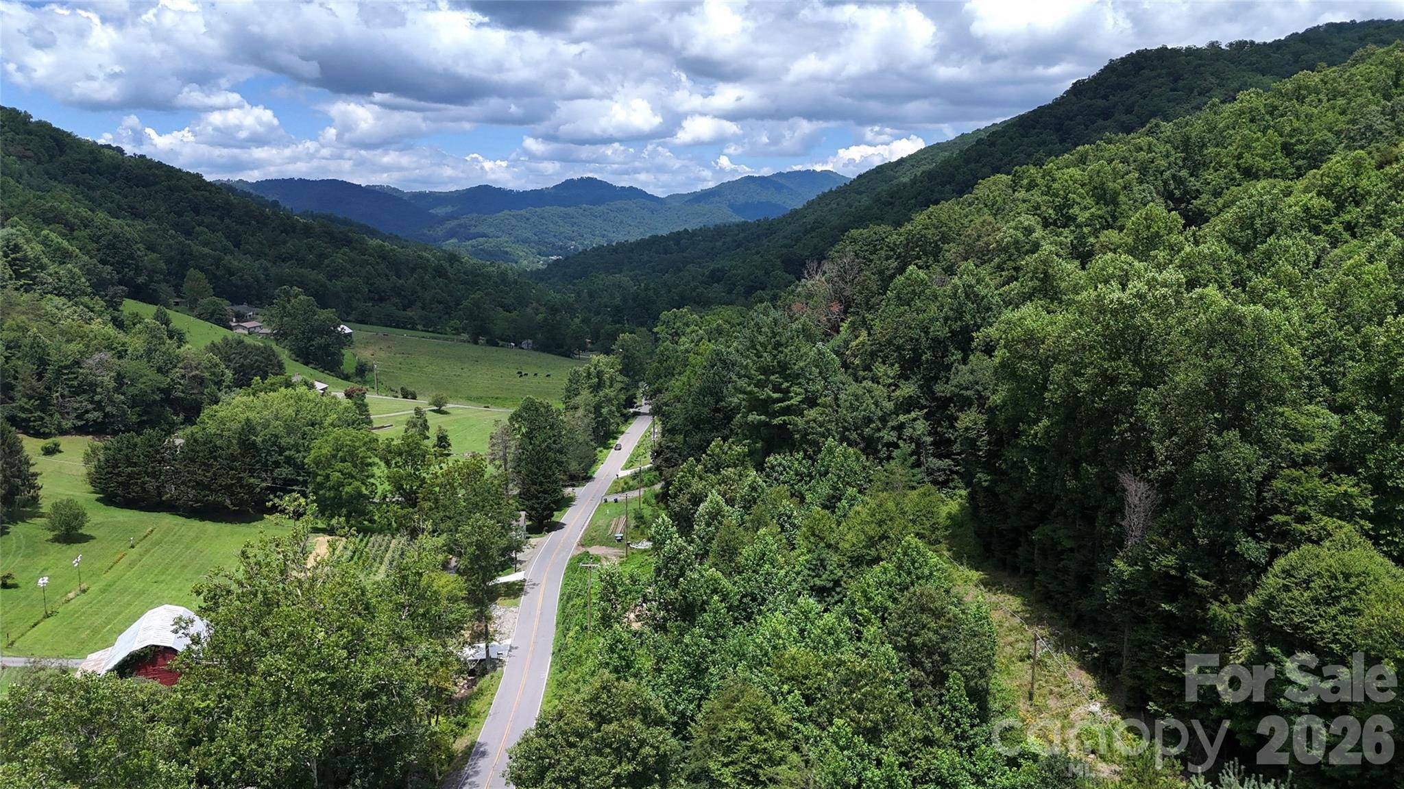 TBD Paint Fork RD, Barnardsville, NC 28709