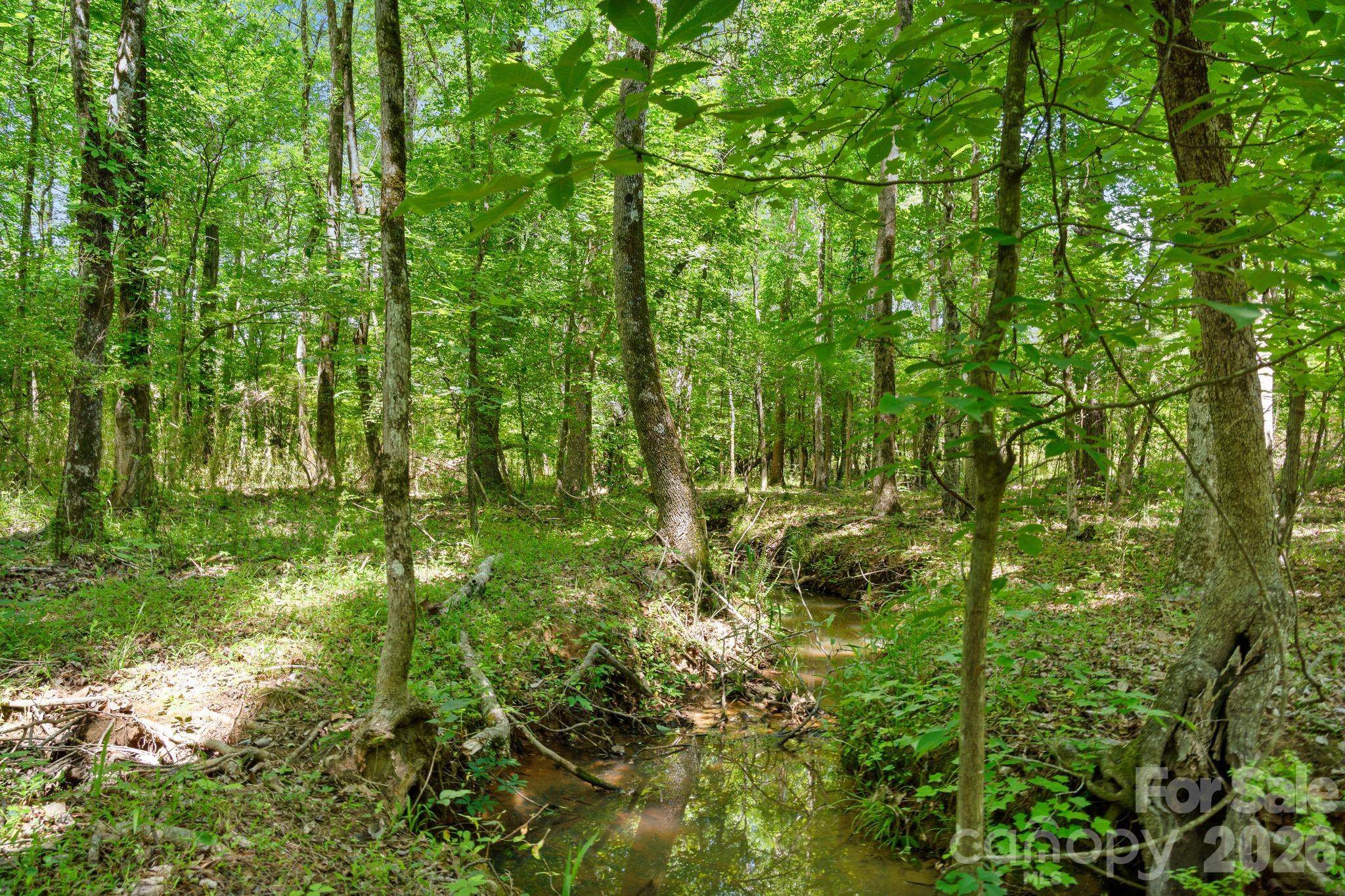 0000 Cool Branch RD #5, Carlisle, SC 29706