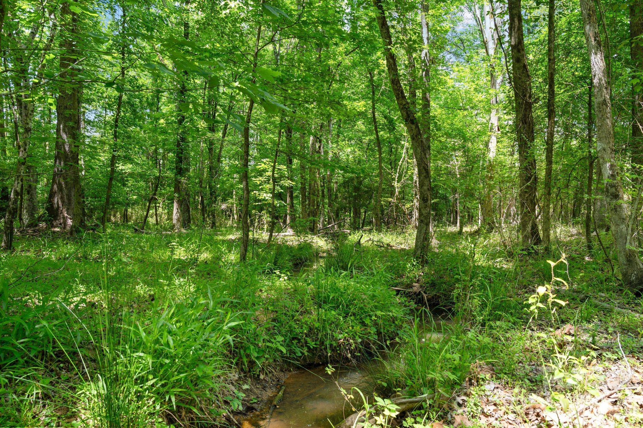 0000 Cool Branch RD #5, Carlisle, SC 29706
