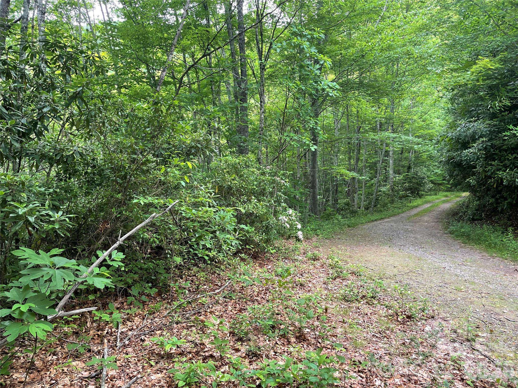 Lt 279 Cabin Flats RD #279, Balsam, NC 28707