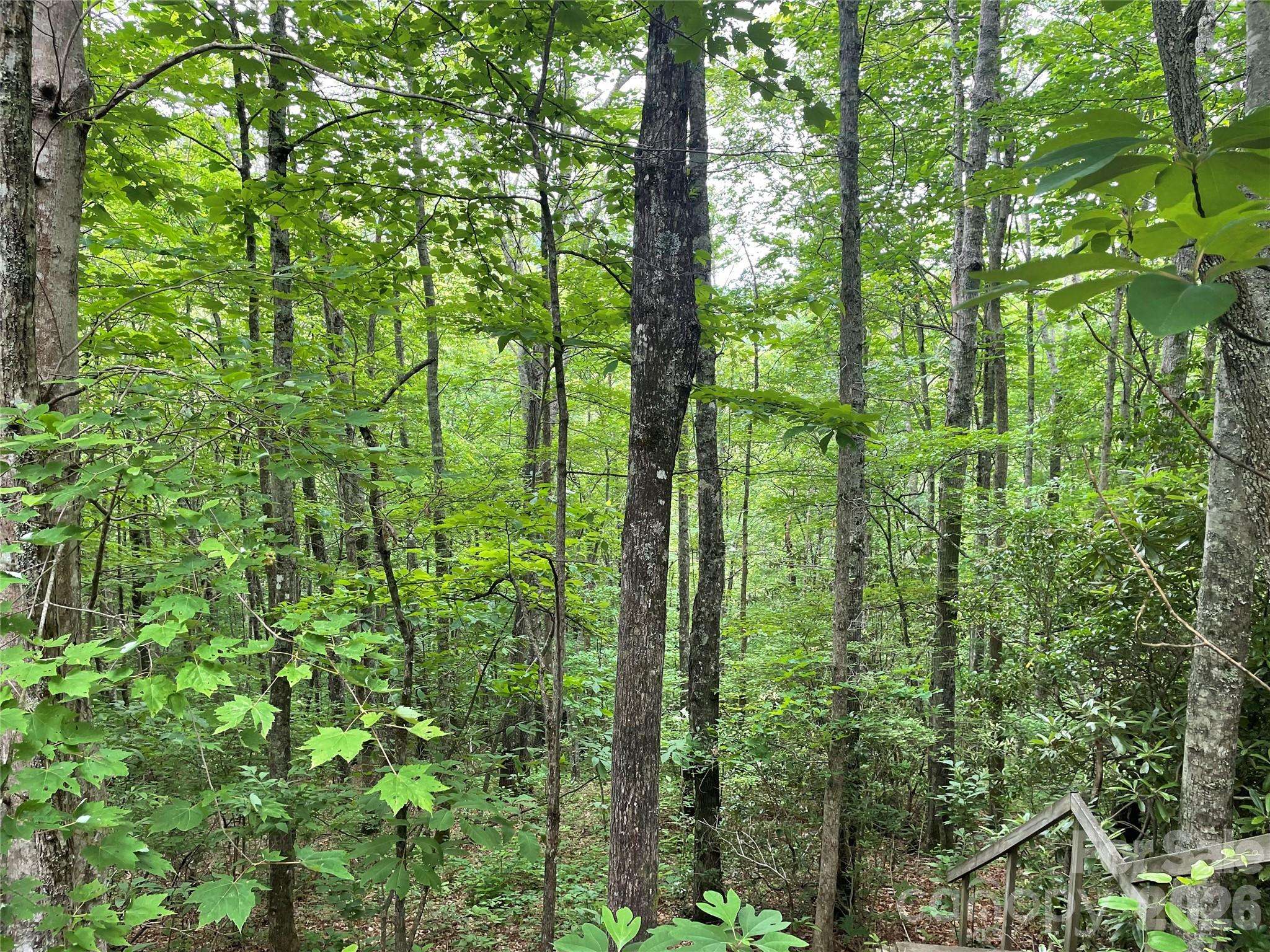 Lt 279 Cabin Flats RD #279, Balsam, NC 28707