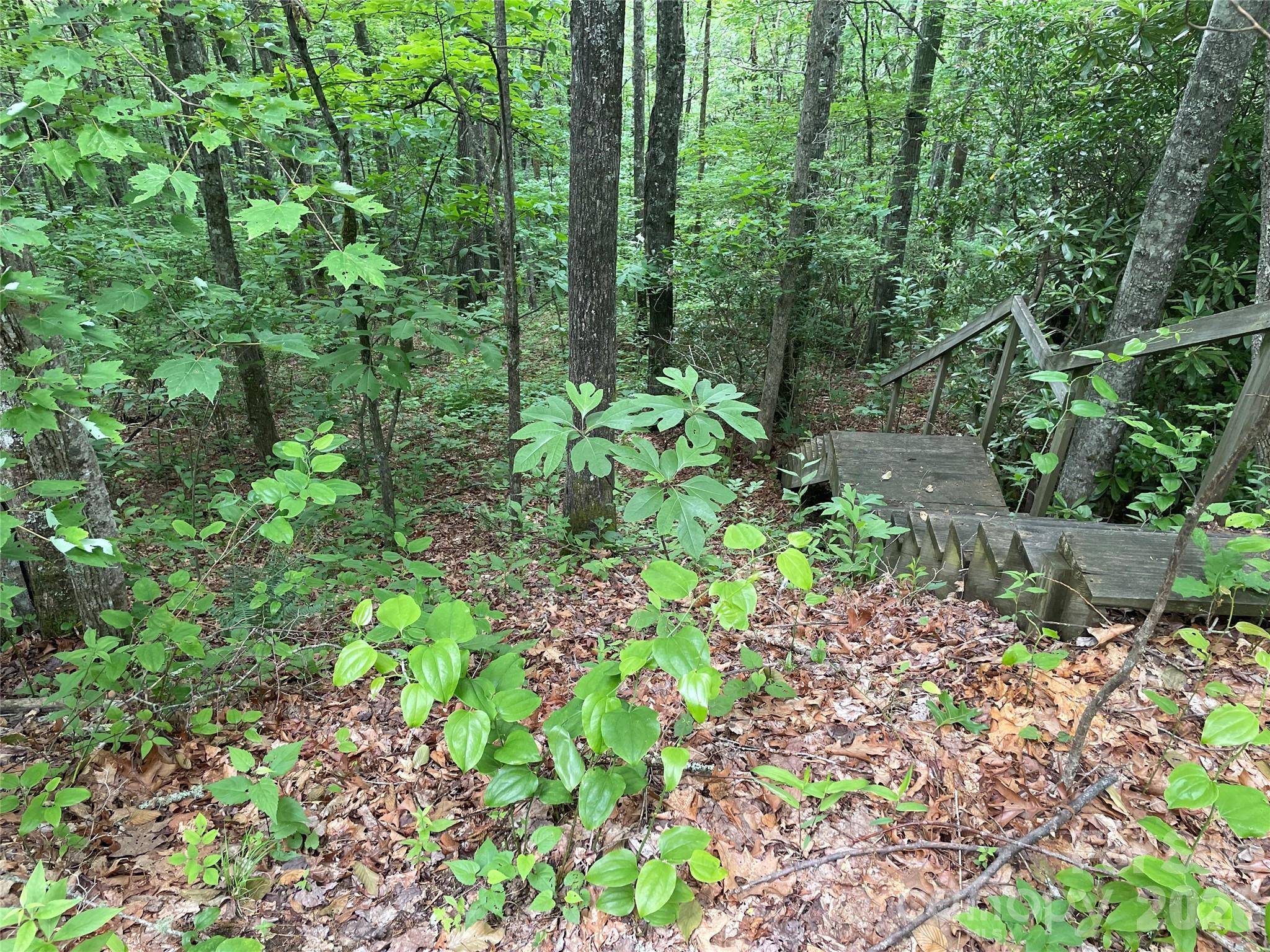 Lt 279 Cabin Flats RD #279, Balsam, NC 28707