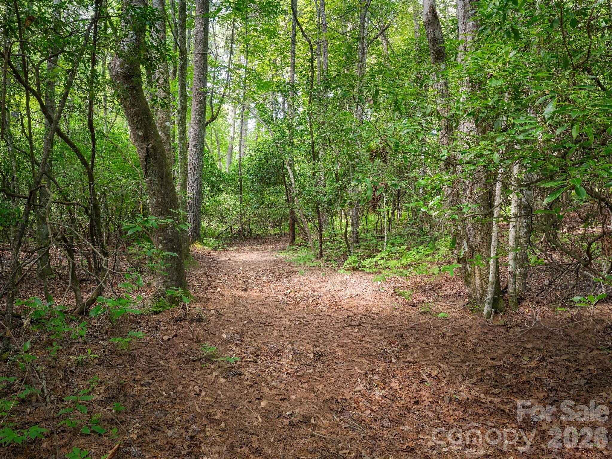 Lot 161 Eagle Lake DR, Brevard, NC 28712