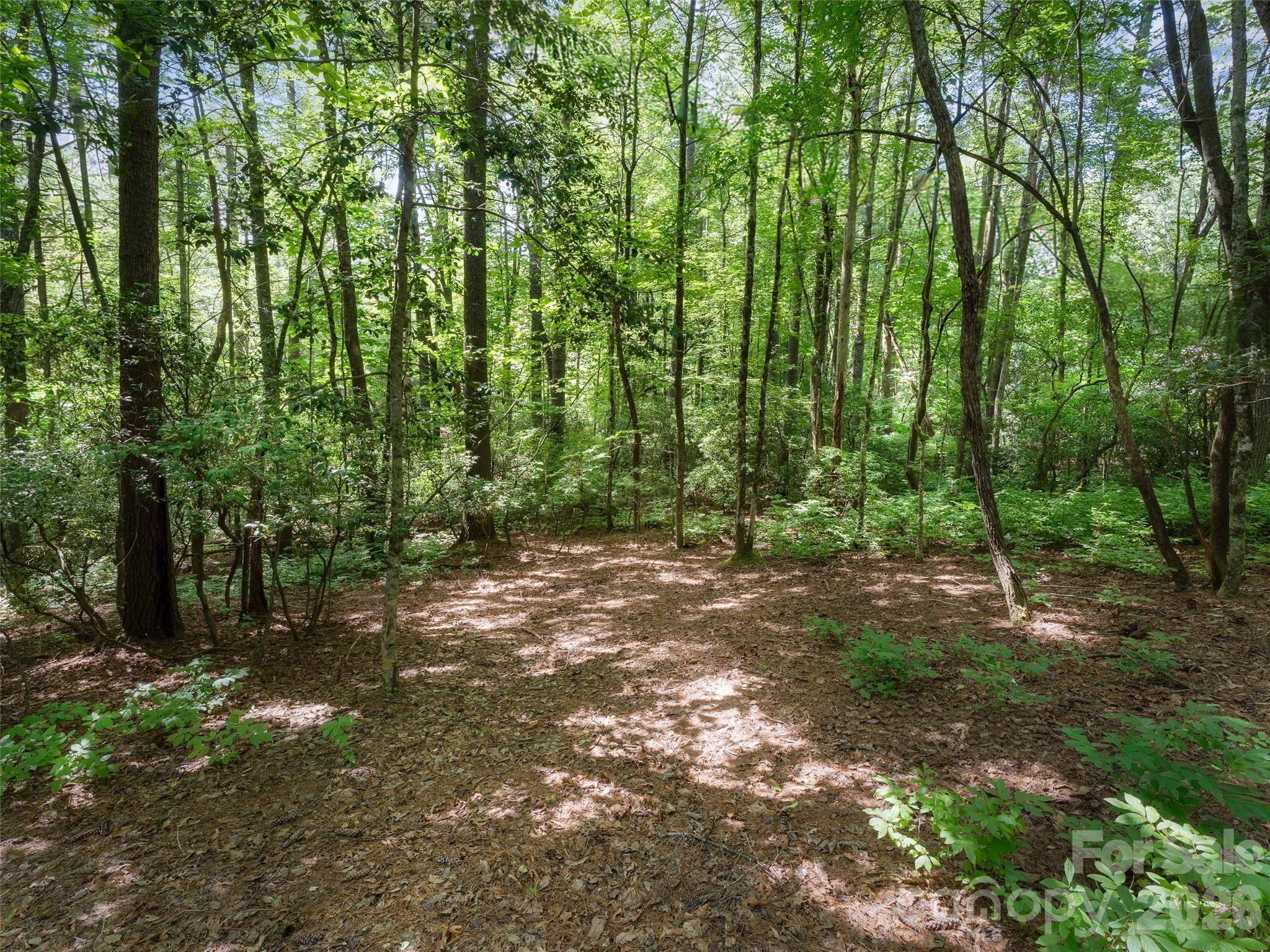 Lot 161 Eagle Lake DR, Brevard, NC 28712