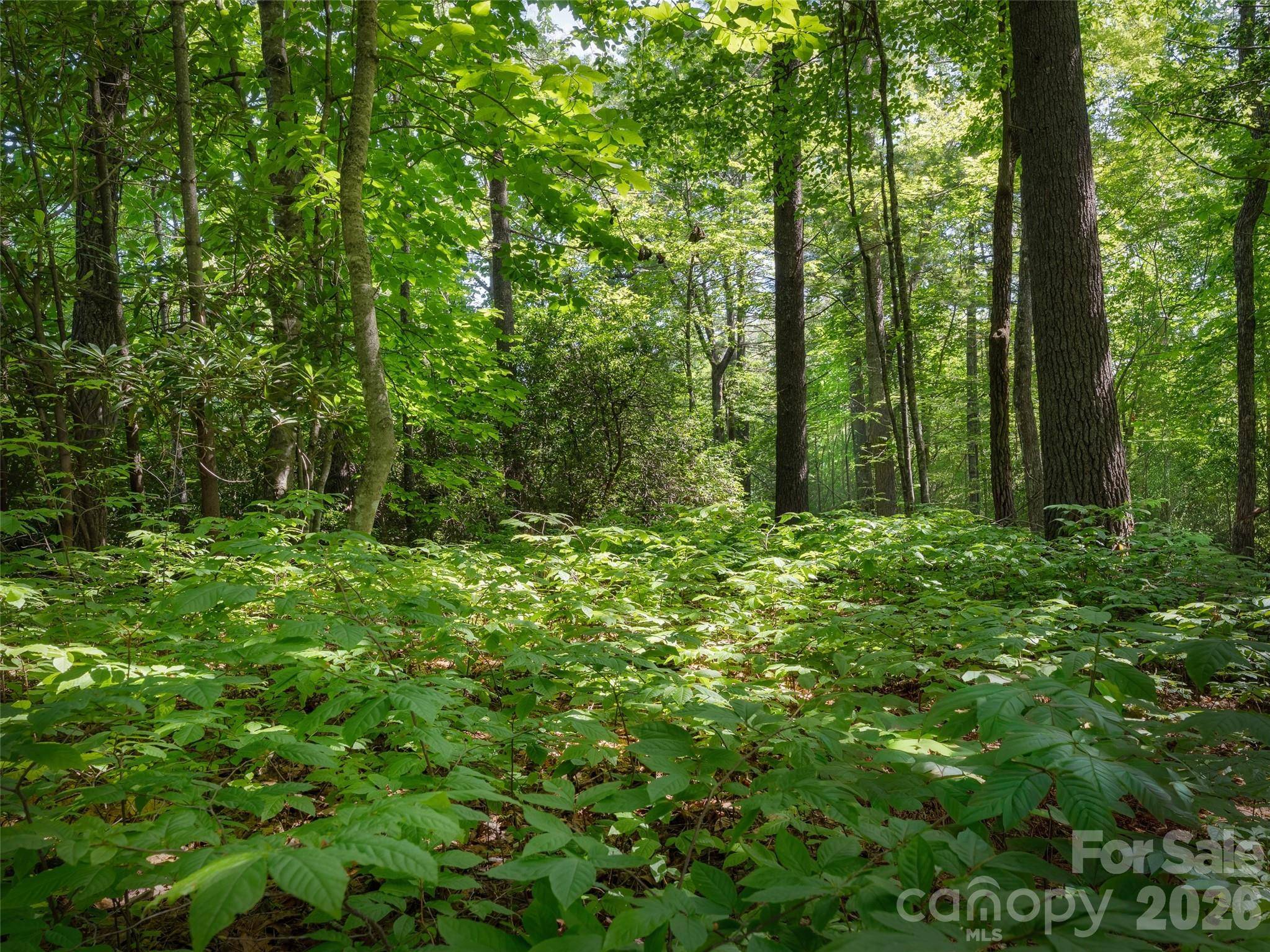 Lot 161 Eagle Lake DR, Brevard, NC 28712