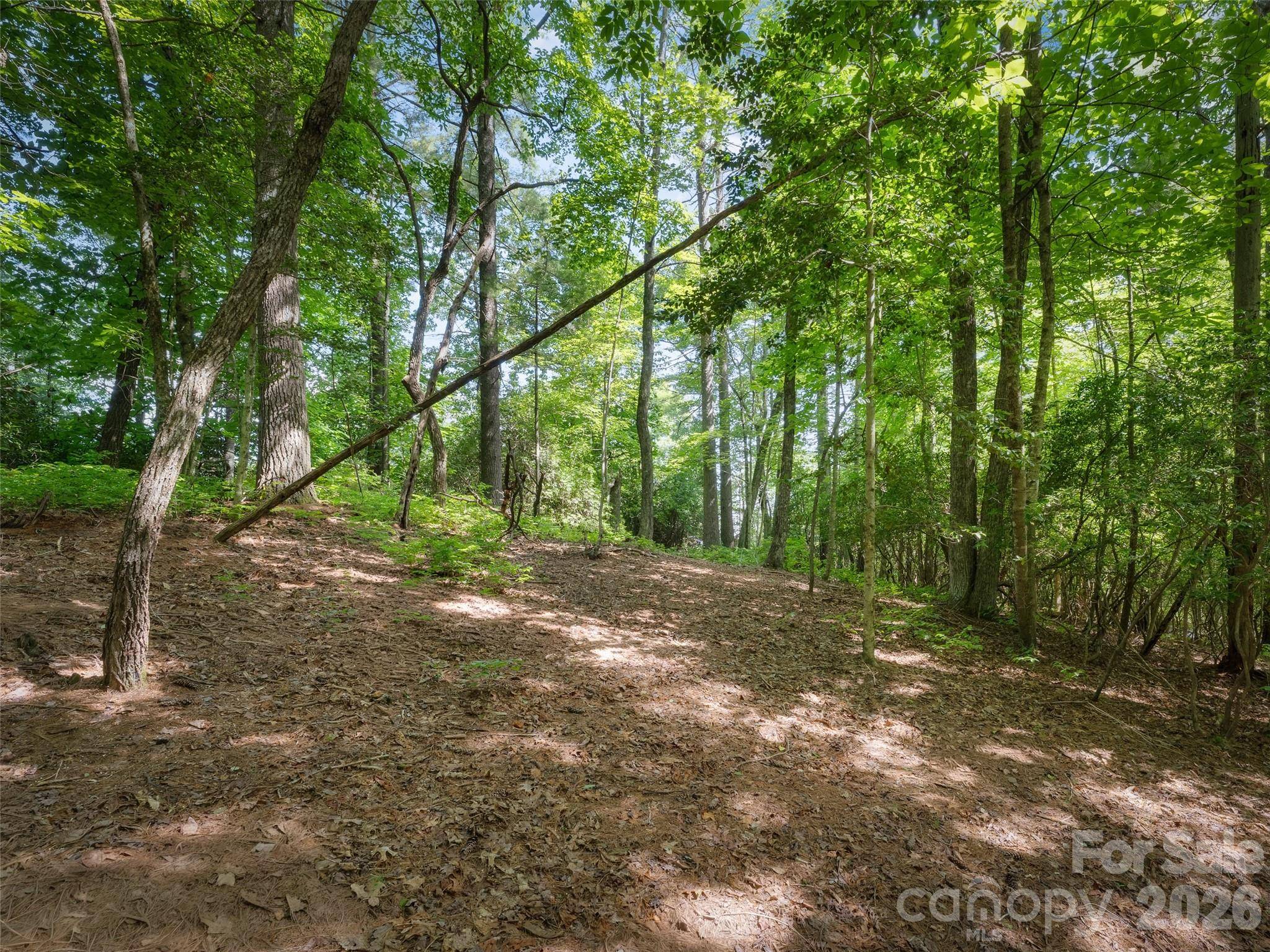 Lot 161 Eagle Lake DR, Brevard, NC 28712