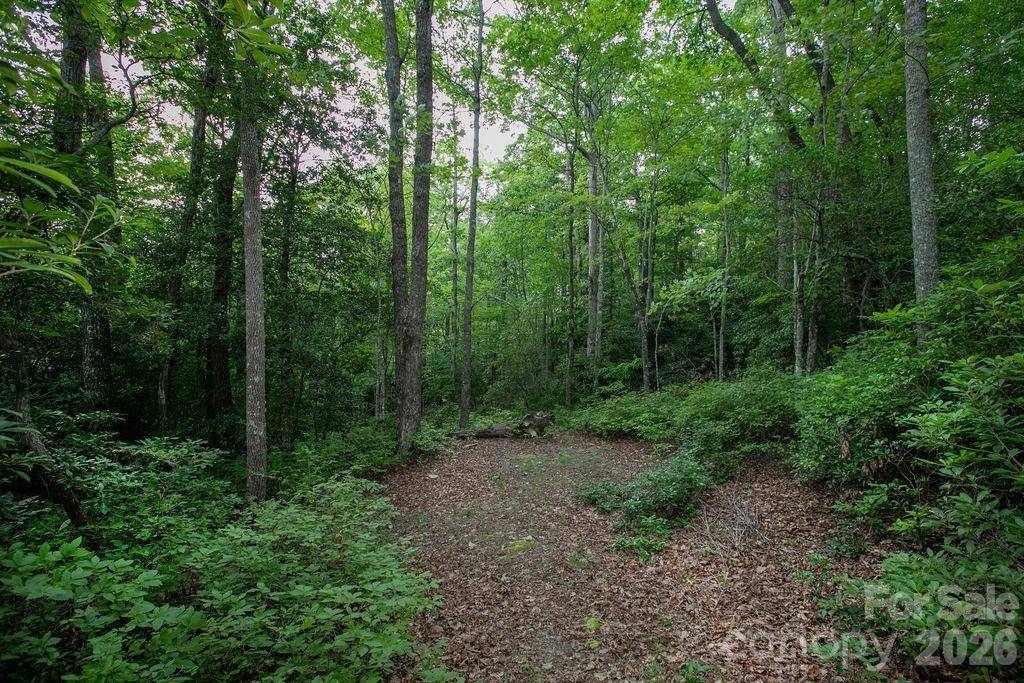 Lot 28 Big Hill RD #28, Brevard, NC 28712