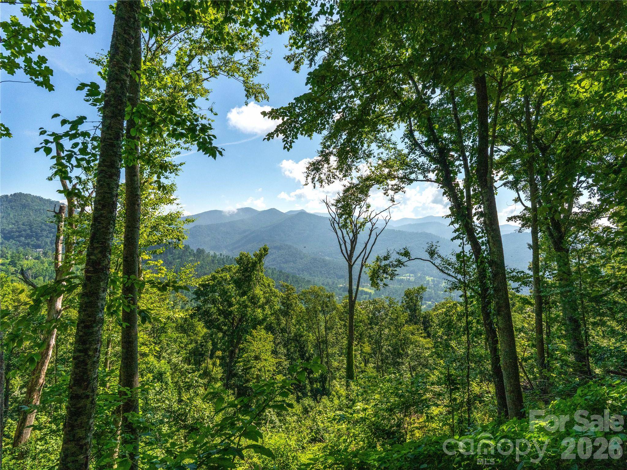 36 Cary LN, Asheville, NC 28804
