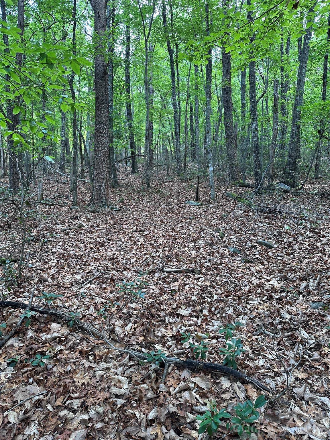 1070 Elm ST, Danbury, NC 27016