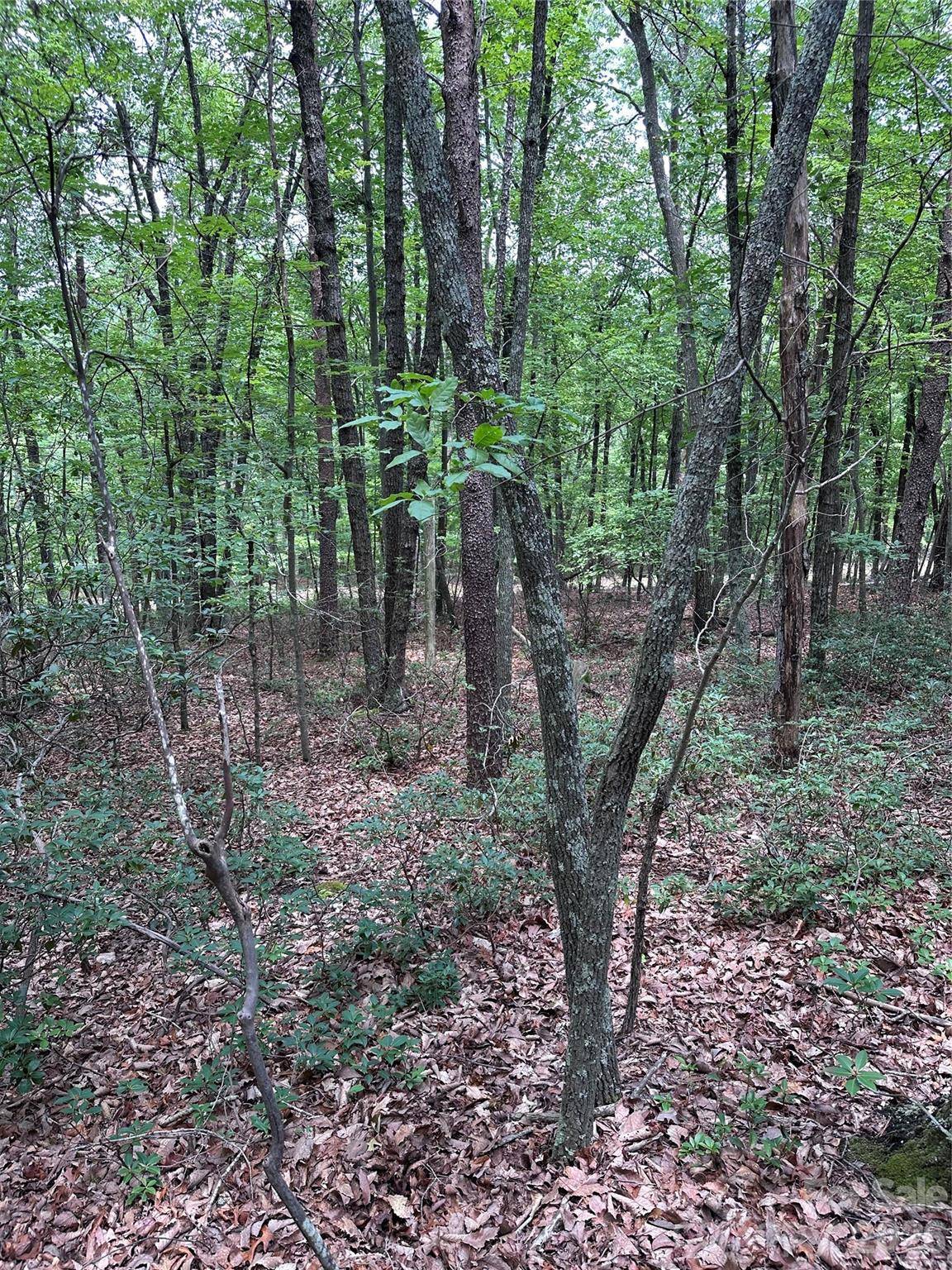 1070 Elm ST, Danbury, NC 27016