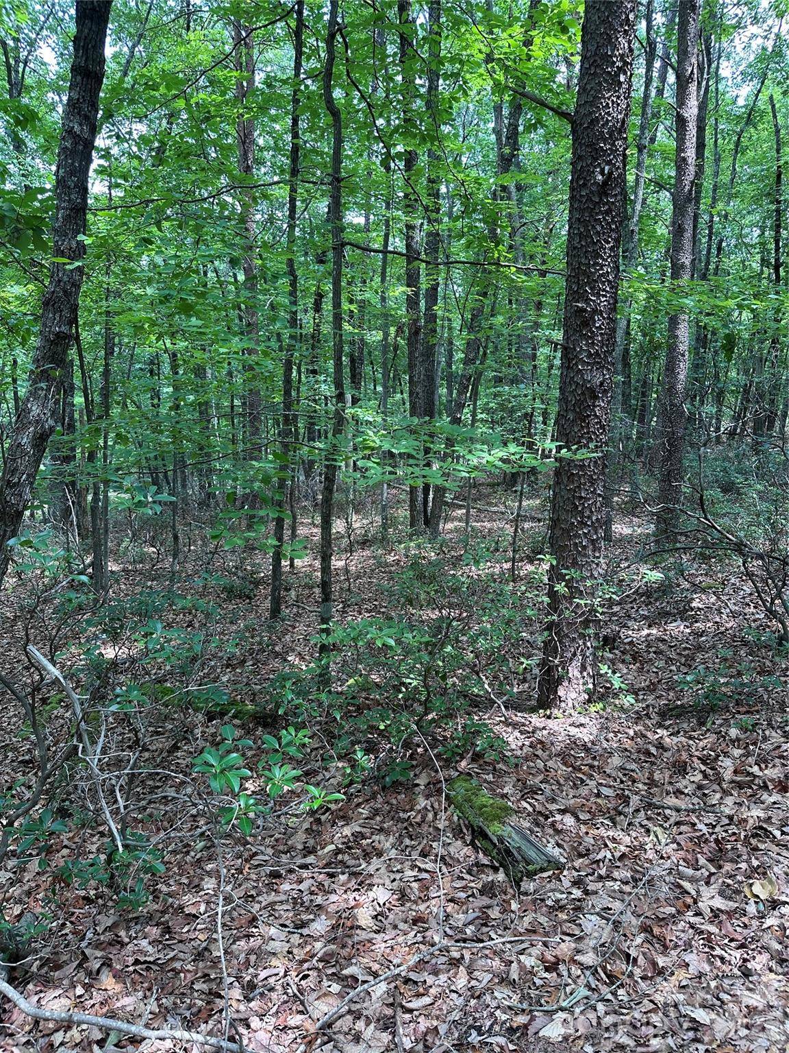 1070 Elm ST, Danbury, NC 27016