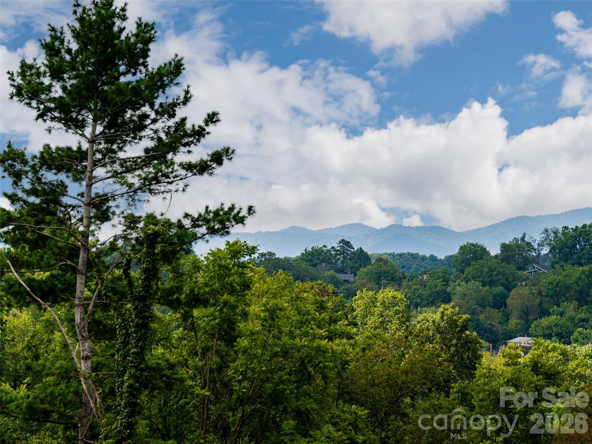 309 Ava LN, Asheville, NC 28804