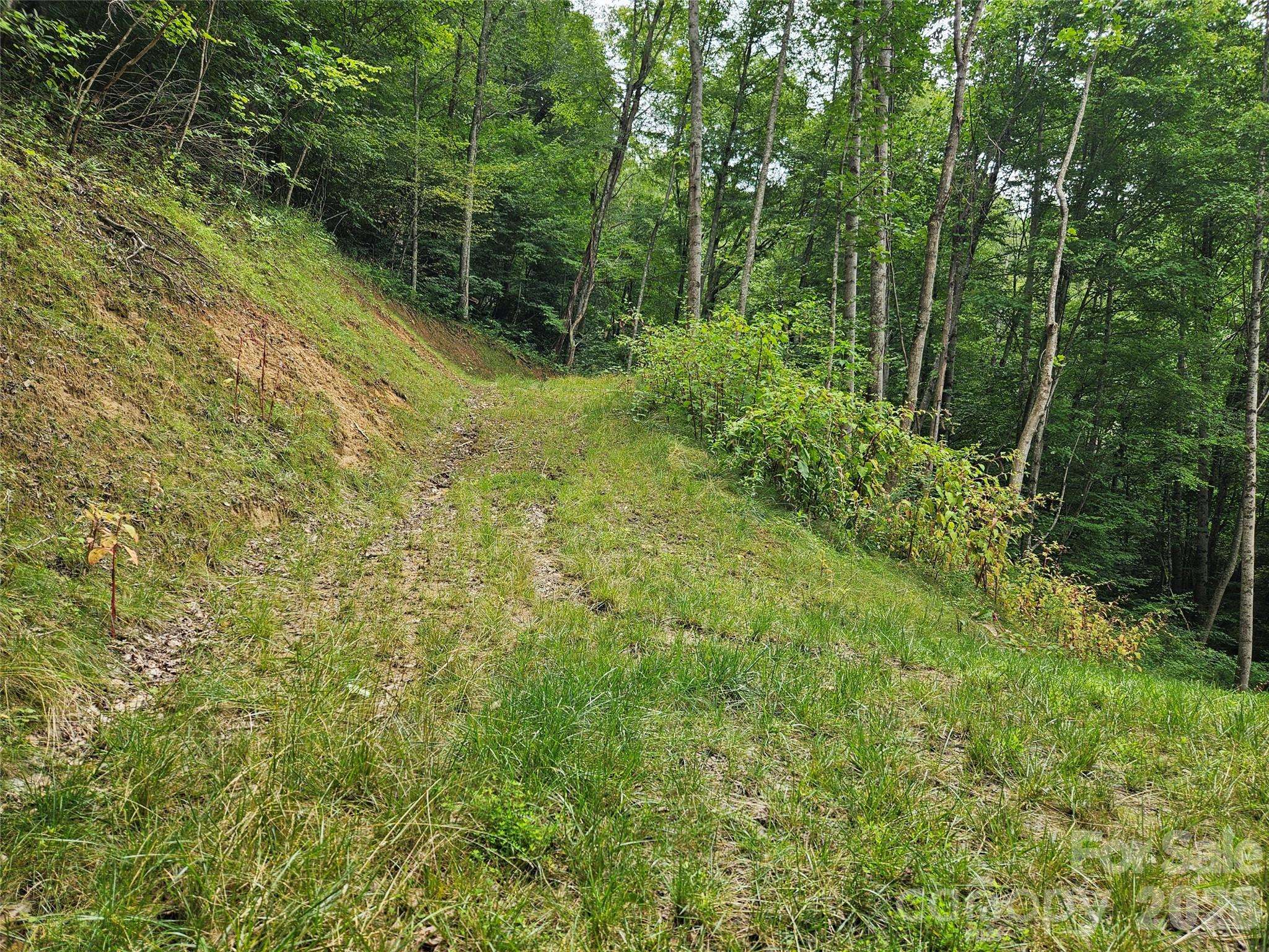 00 Wayward CV, Clyde, NC 28721