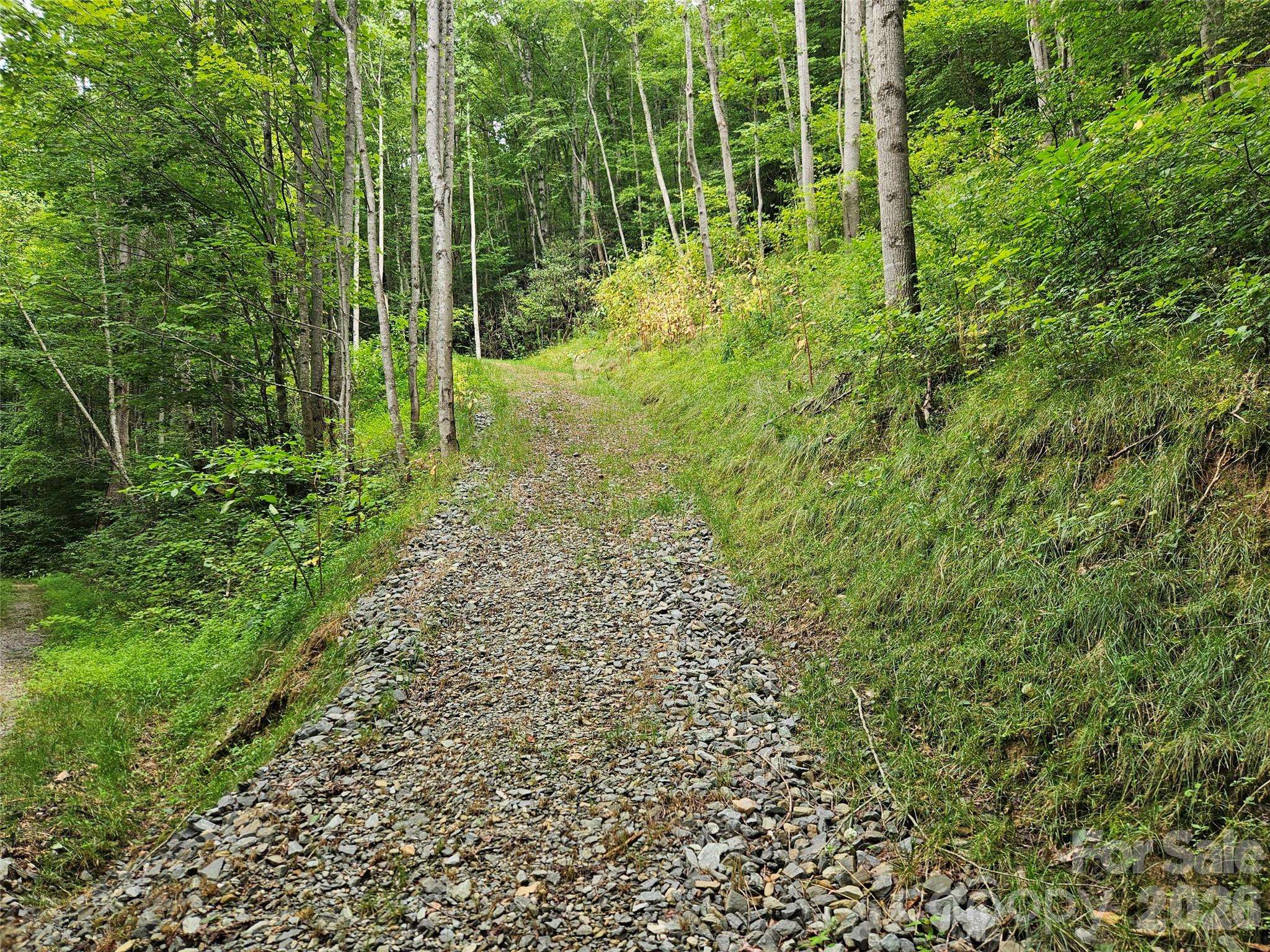 00 Wayward CV, Clyde, NC 28721