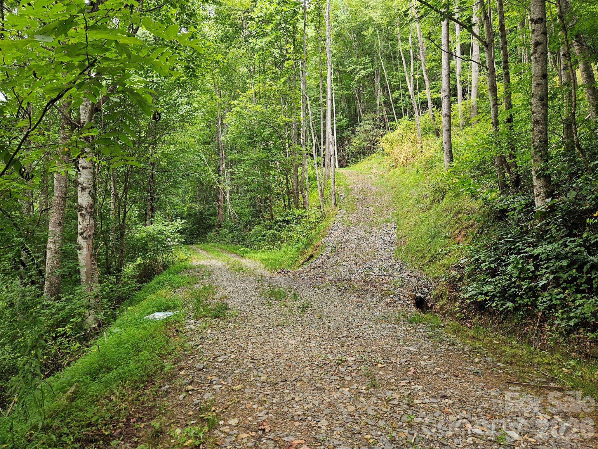 00 Wayward CV, Clyde, NC 28721