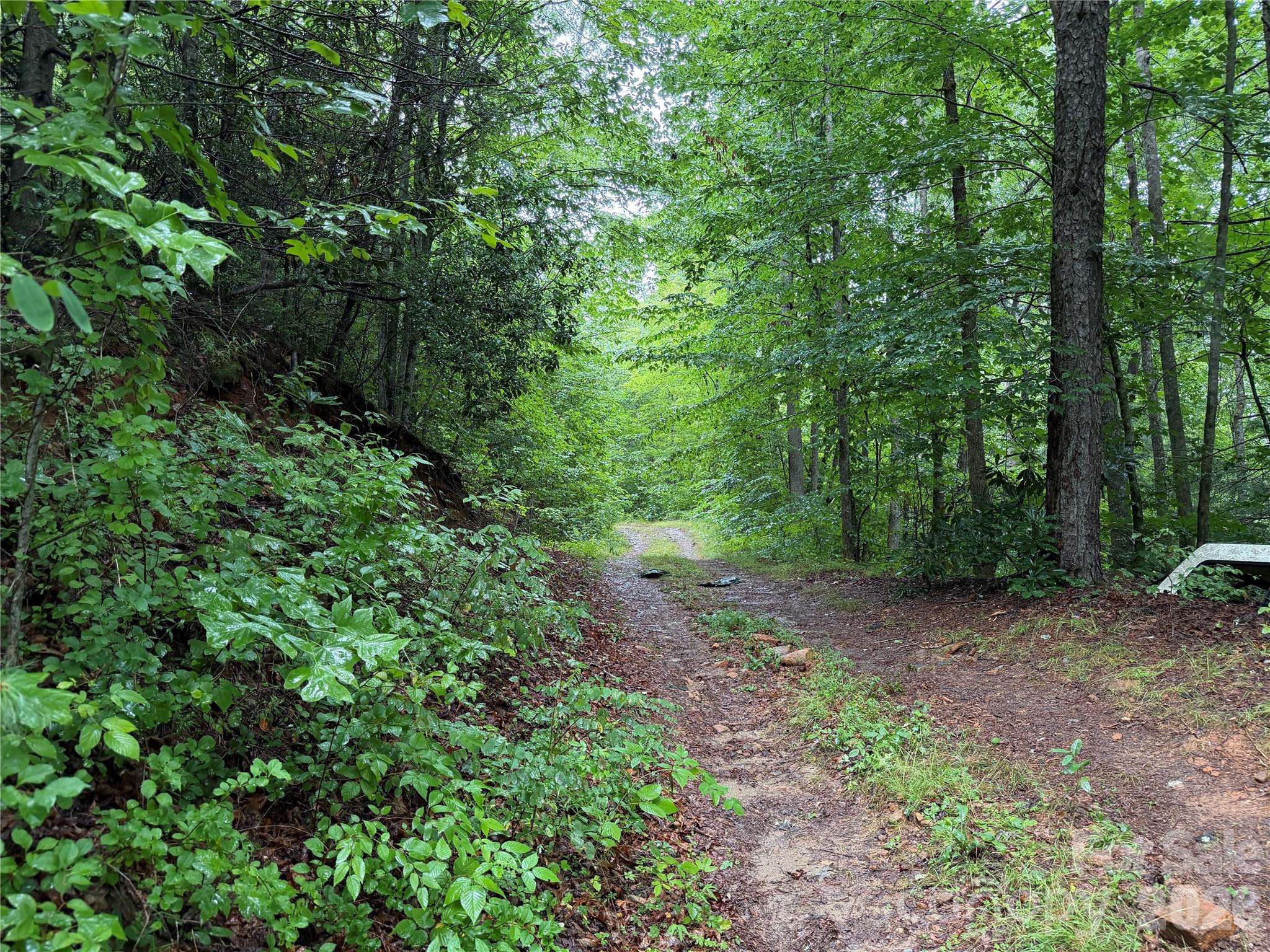 Off Donald McCall RD, Balsam Grove, NC 28708