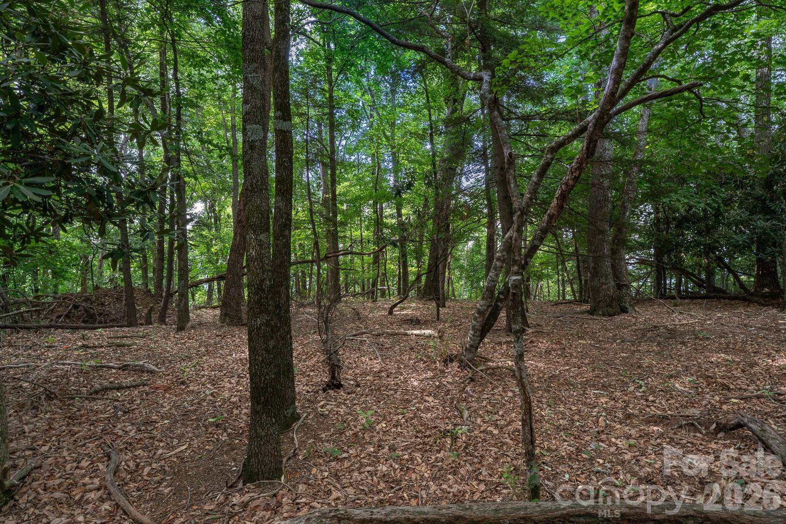 Lot 4 Old Orchard RD #4, Blowing Rock, NC 28605