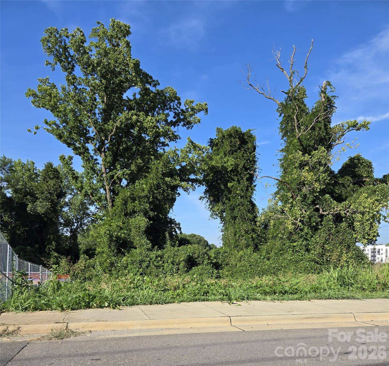 204 W 28th ST, Charlotte, NC 28206