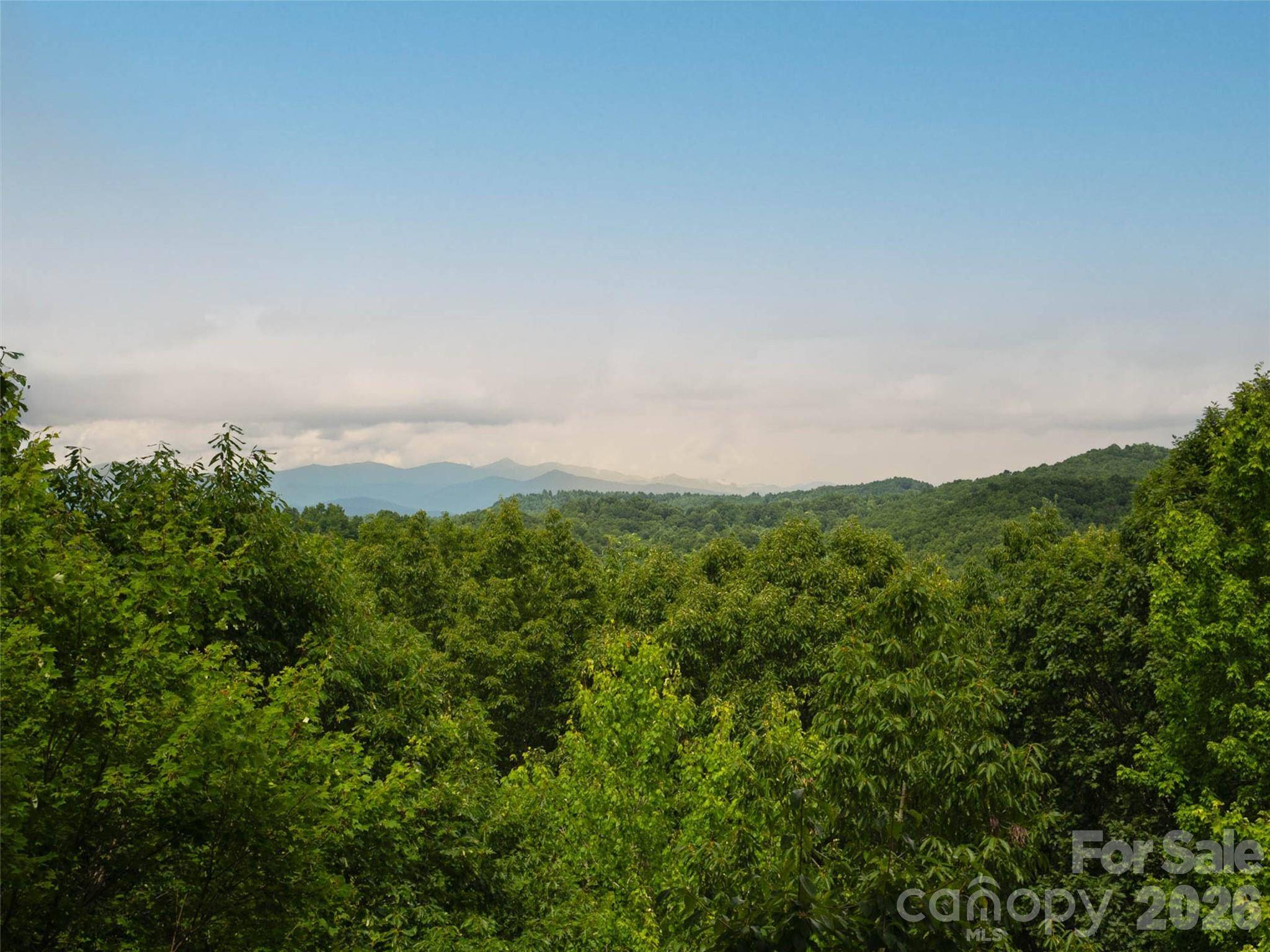 20 Adohi CT, Brevard, NC 28712