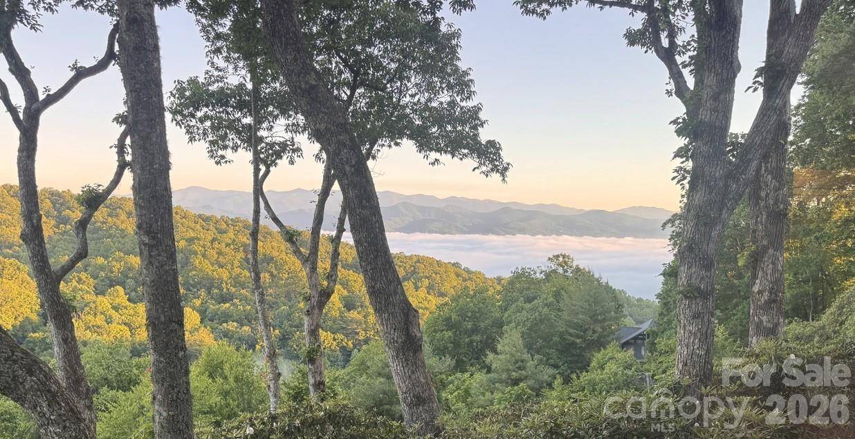 298 Tinequa DR, Brevard, NC 28712