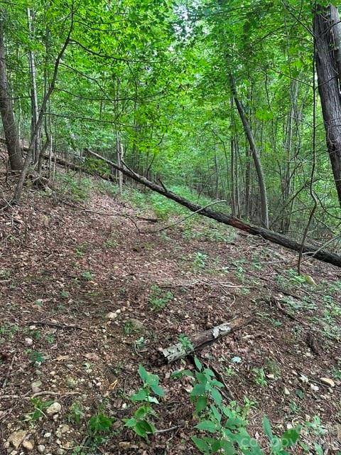 0 Cove Gap RD #1, Moravian Falls, NC 28654