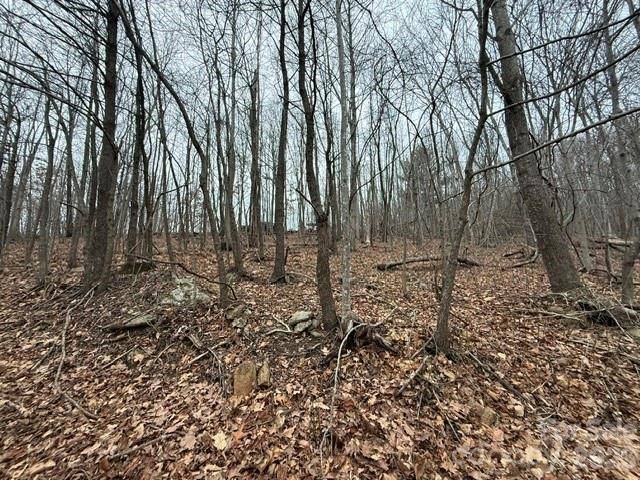 0 Cove Gap RD #2, Moravian Falls, NC 28654
