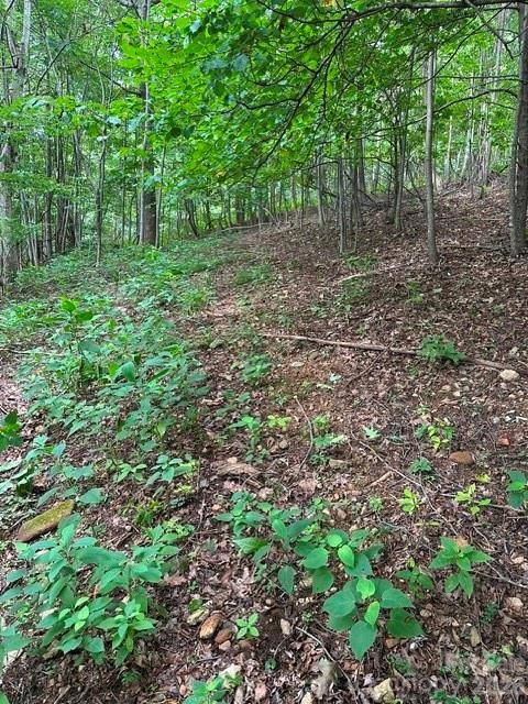 0 Cove Gap RD #2, Moravian Falls, NC 28654