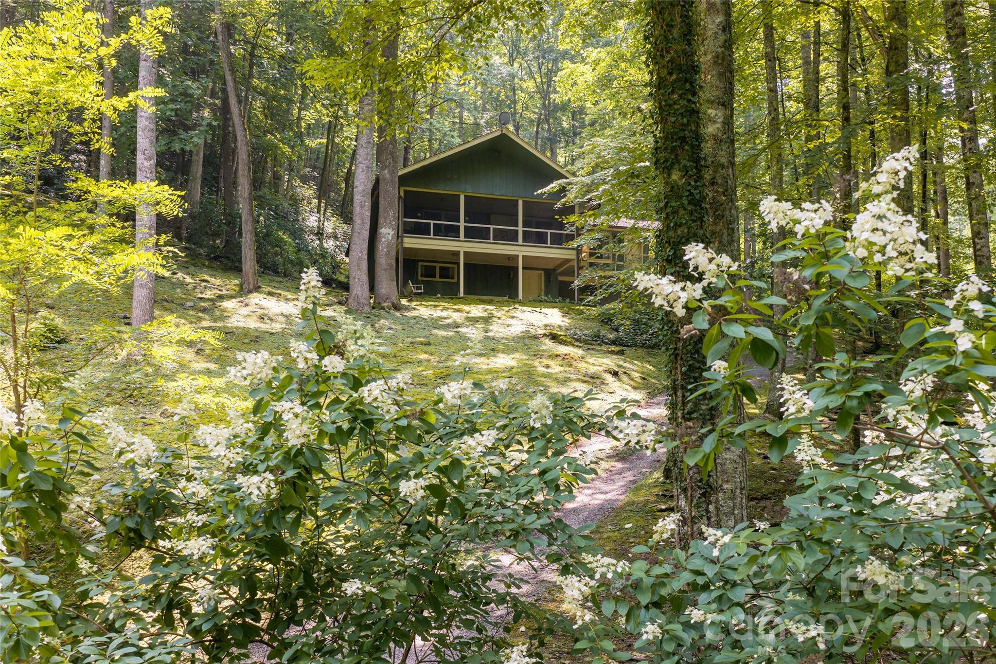 511 Mcclure Creek RD, Canton, NC 28716