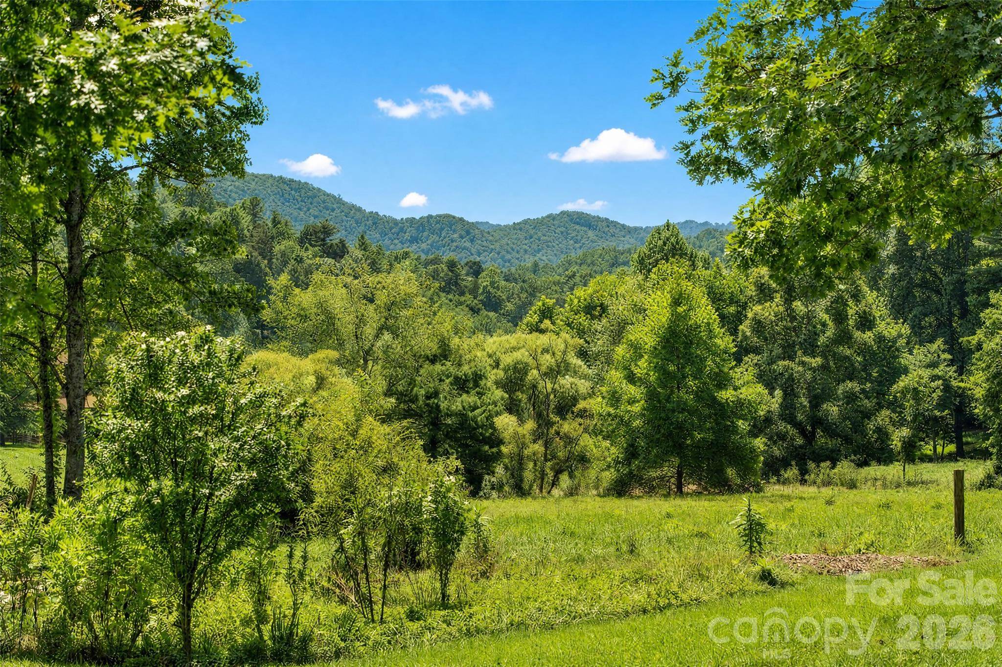 789 Morrow Branch RD, Leicester, NC 28748