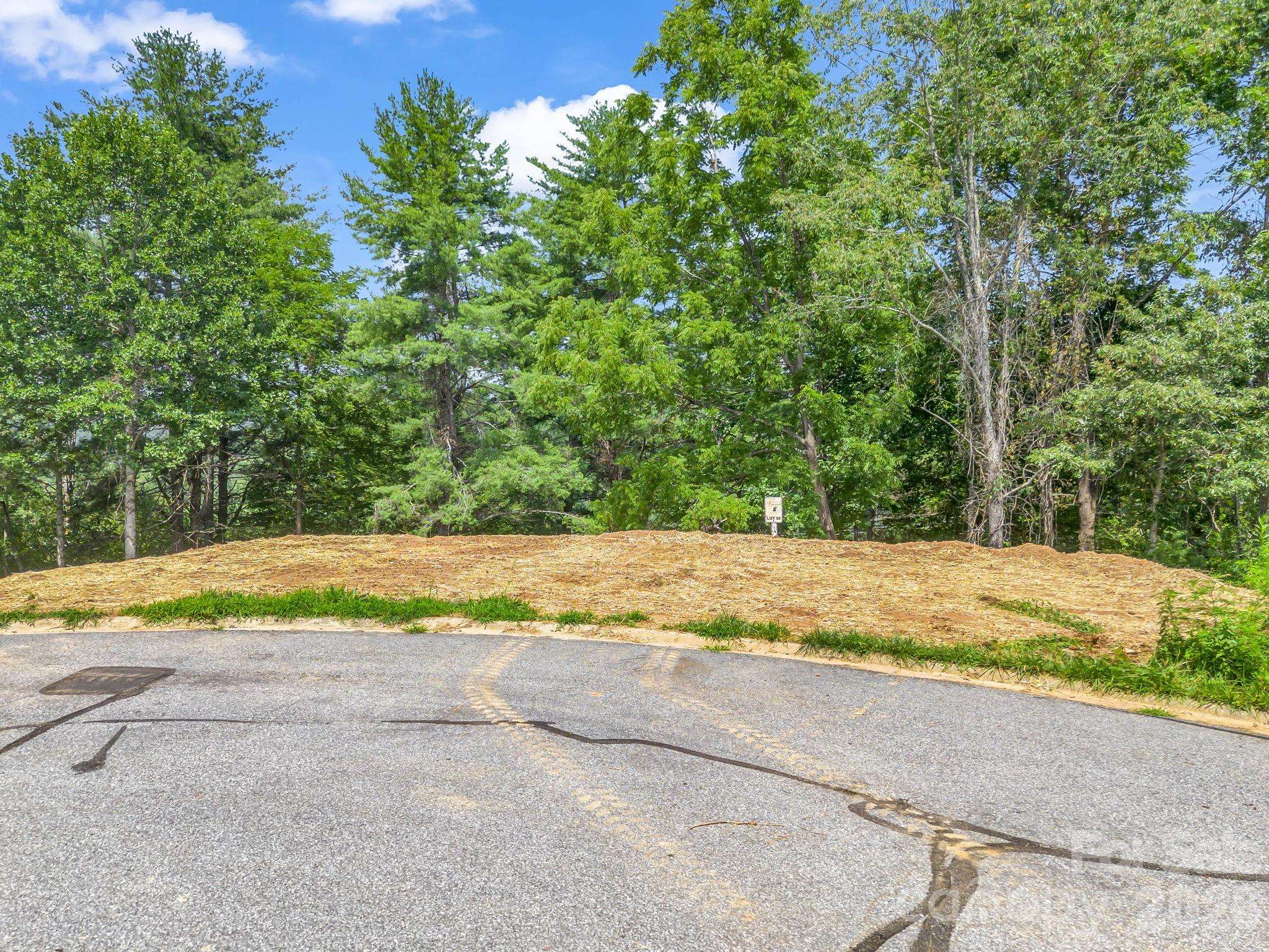 50 Erin Glen CT, Fairview, NC 28730