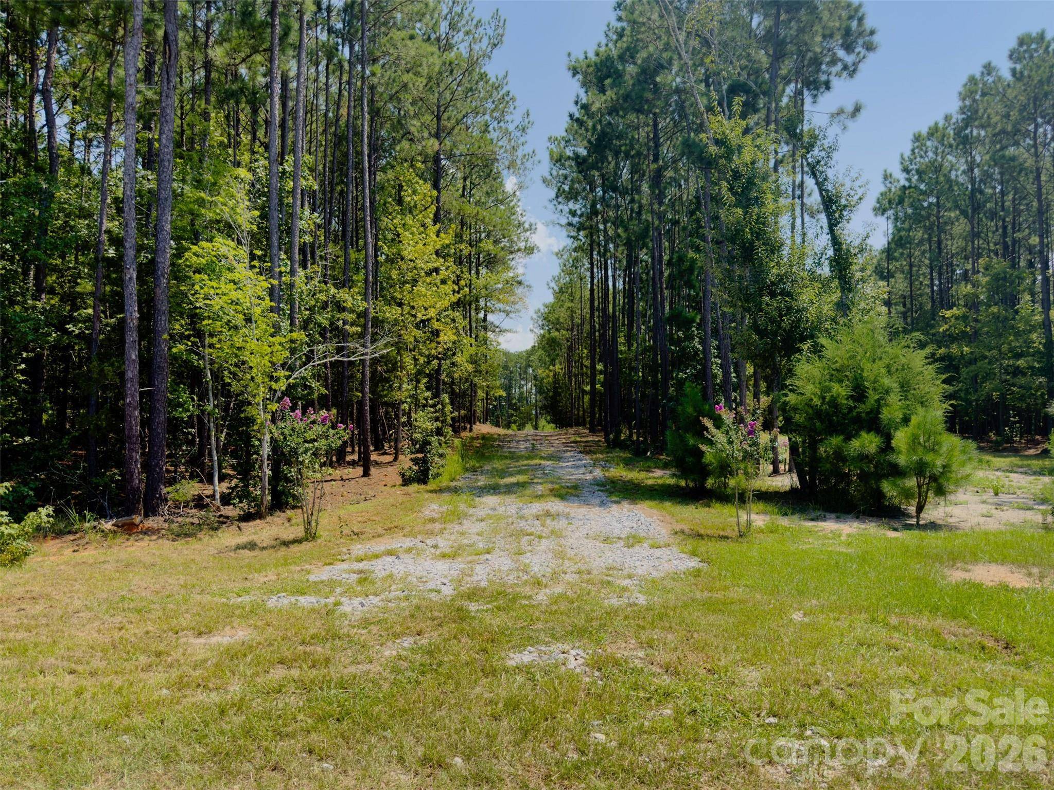 955 Cole Trestle RD, Blair, SC 29015