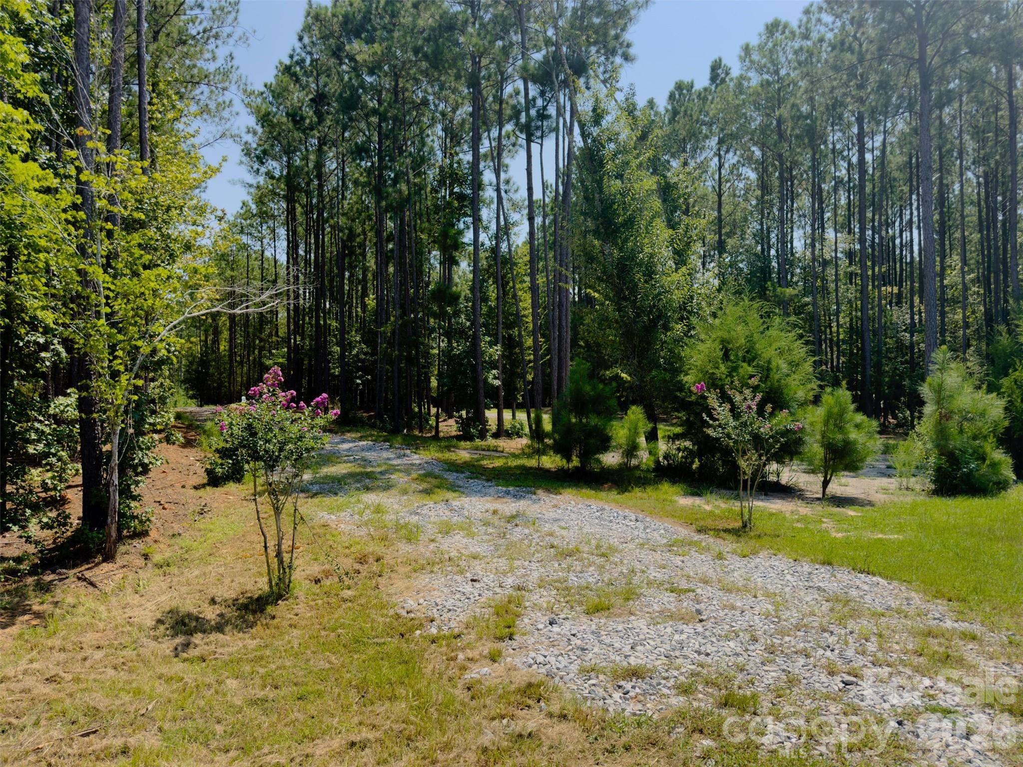 955 Cole Trestle RD, Blair, SC 29015