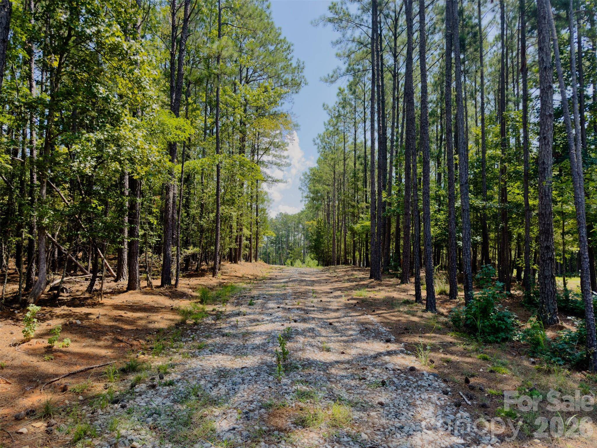 955 Cole Trestle RD, Blair, SC 29015