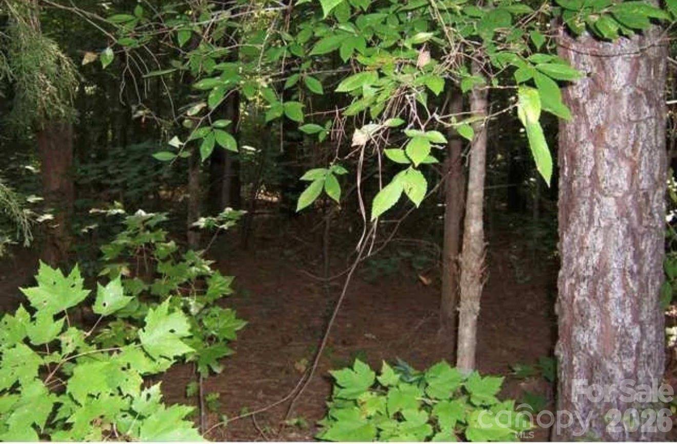 104 Shaman DR, Louisburg, NC 27549